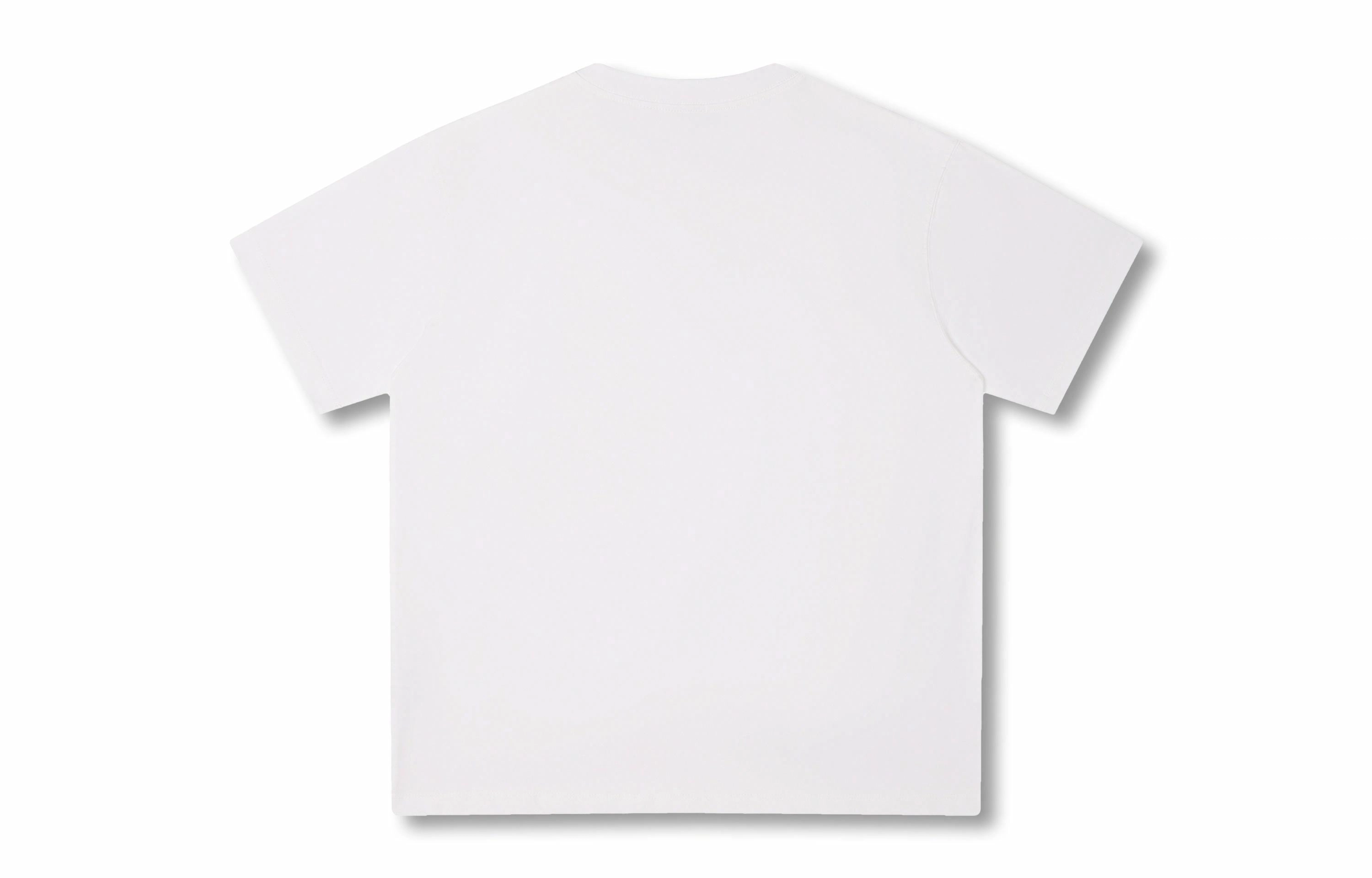 Rolling Money T