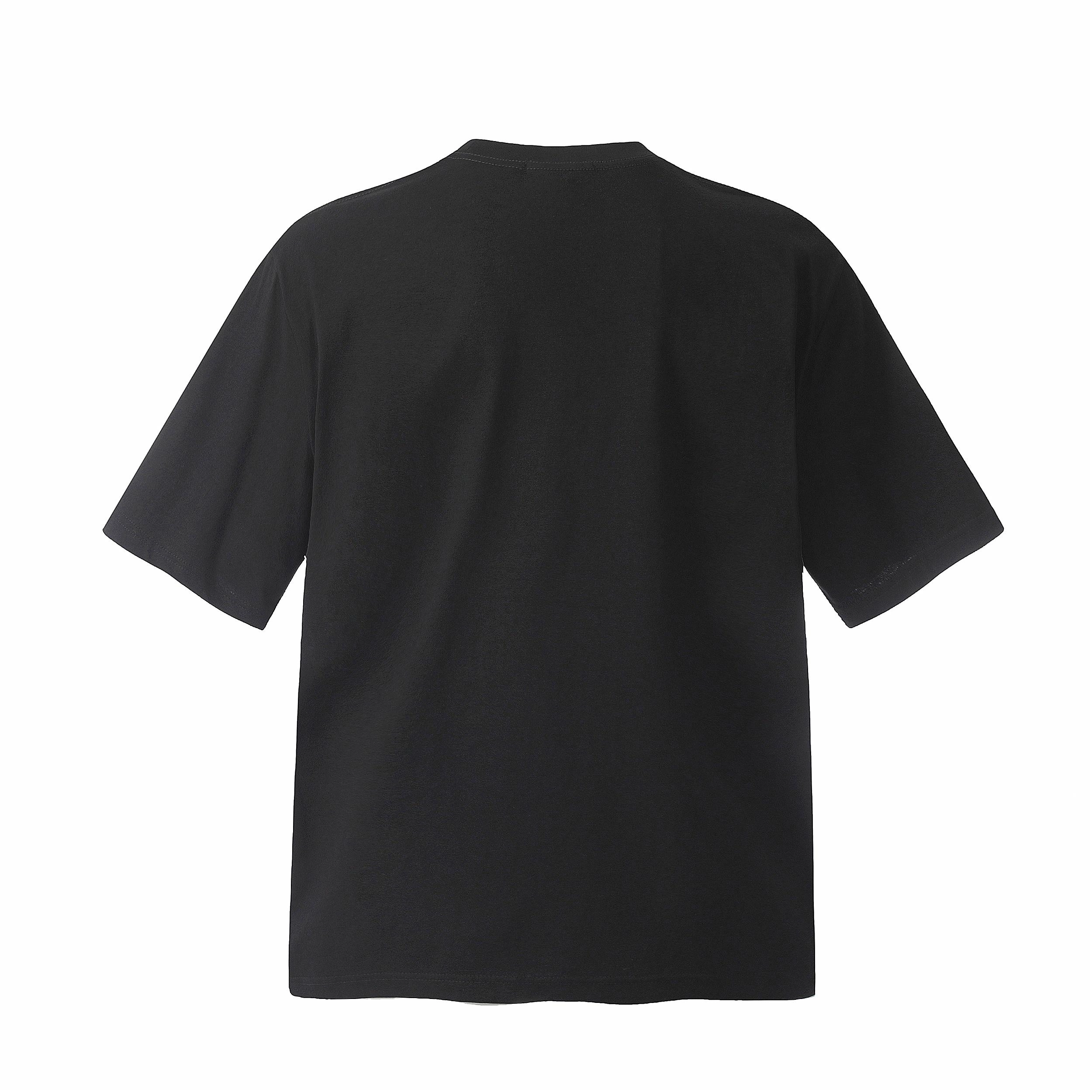 WLNEXT T