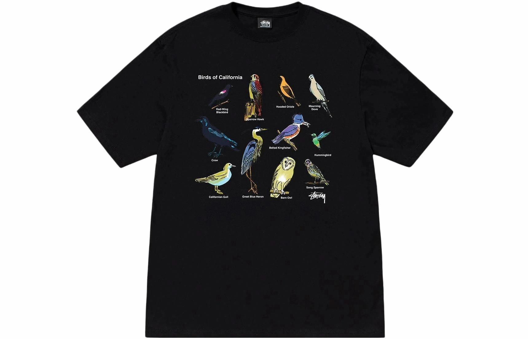 Stussy 2023 T