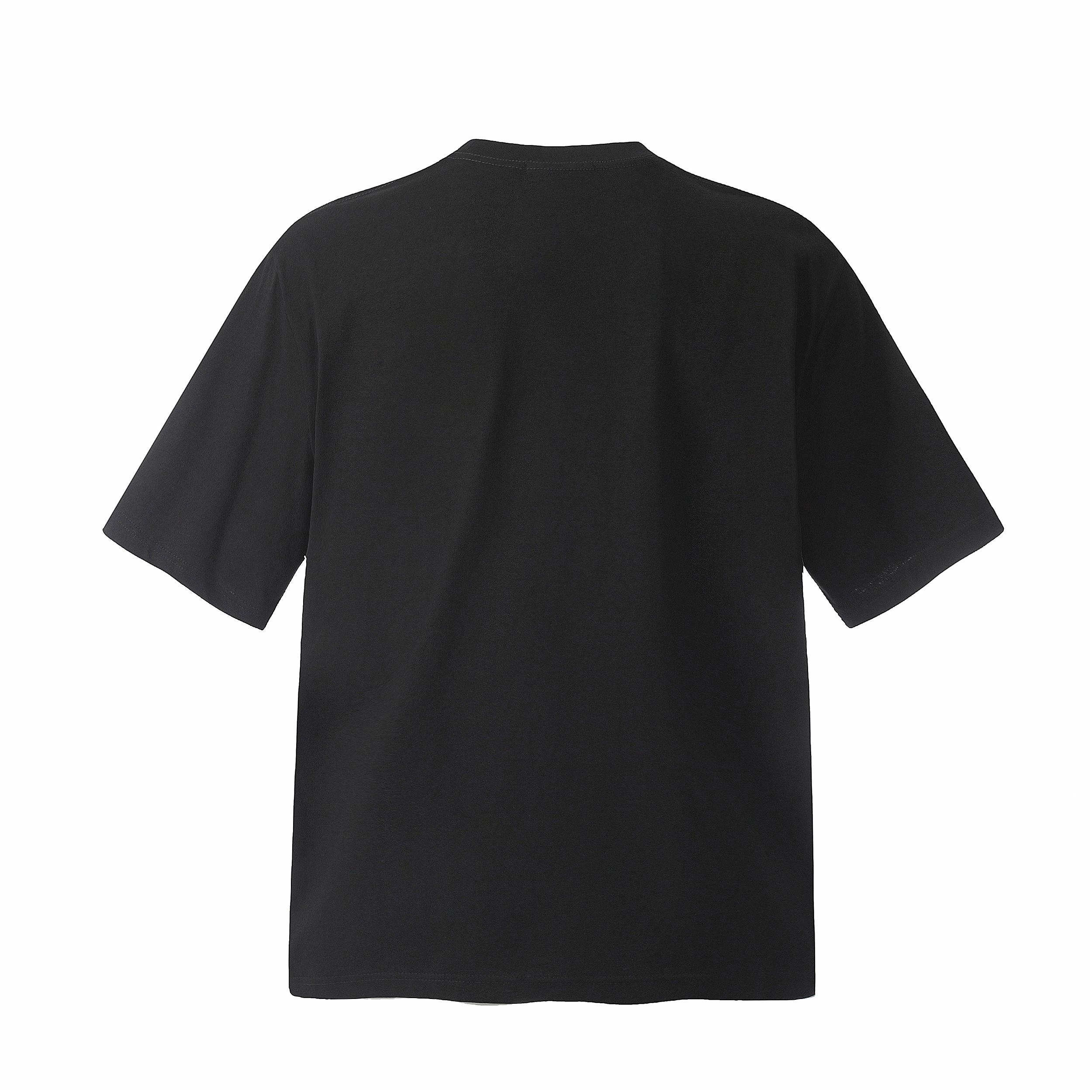 WLNEXT T