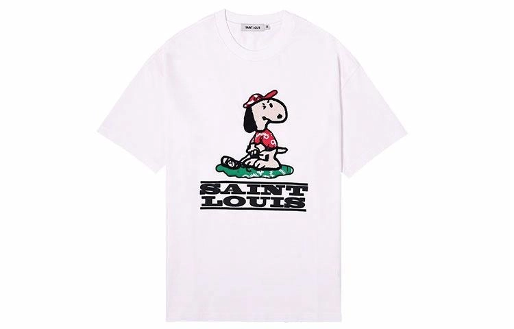 SSSAINT LOUIS T
