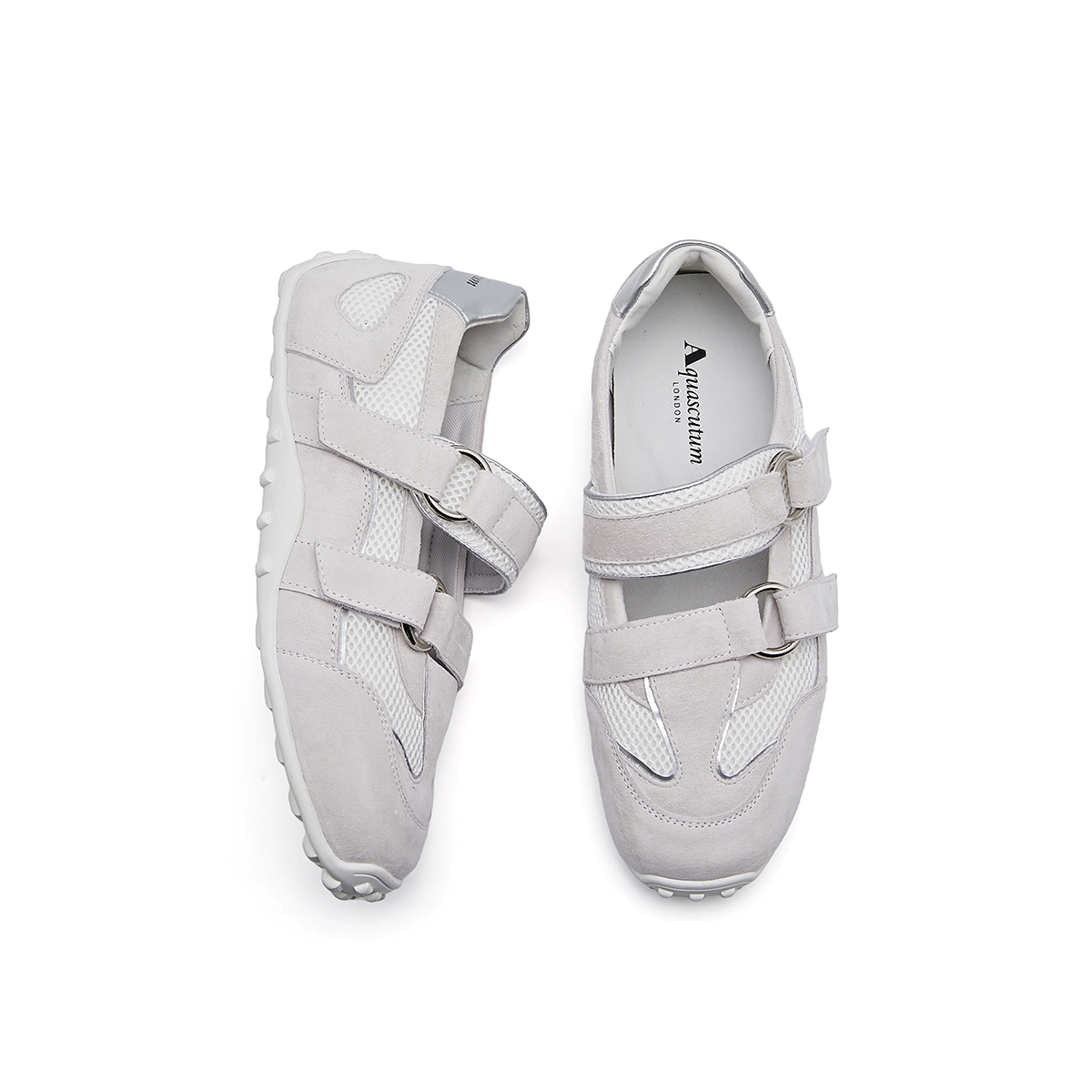 AQUASCUTUM