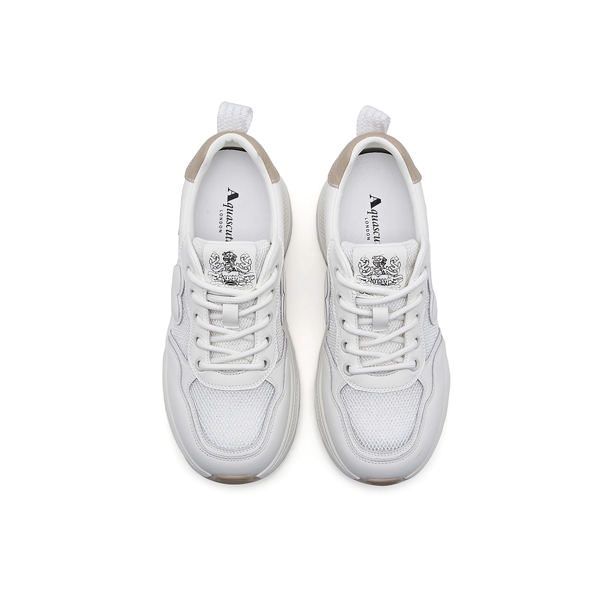 AQUASCUTUM