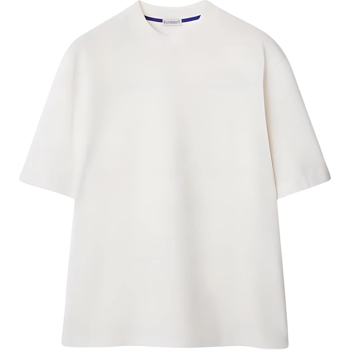 Burberry T