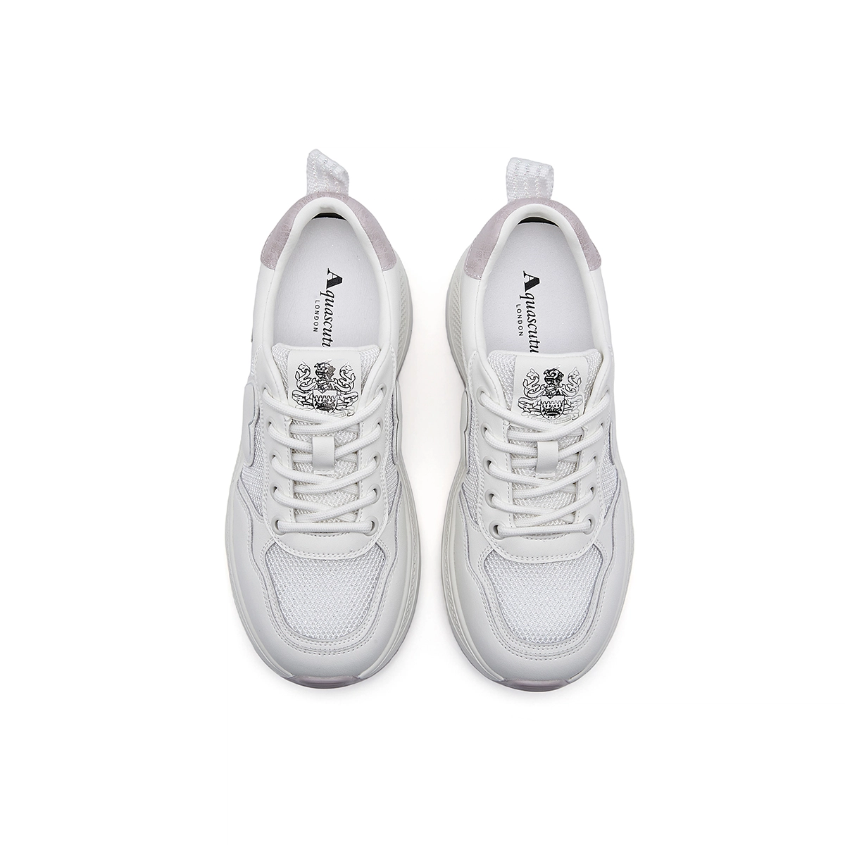 AQUASCUTUM