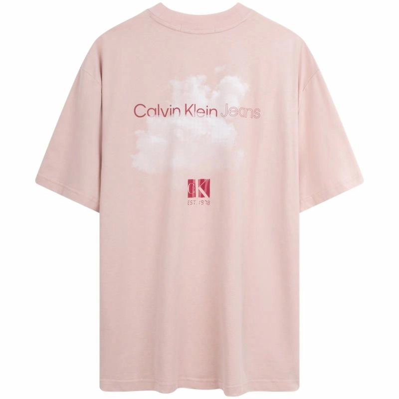 CKCalvin Klein T