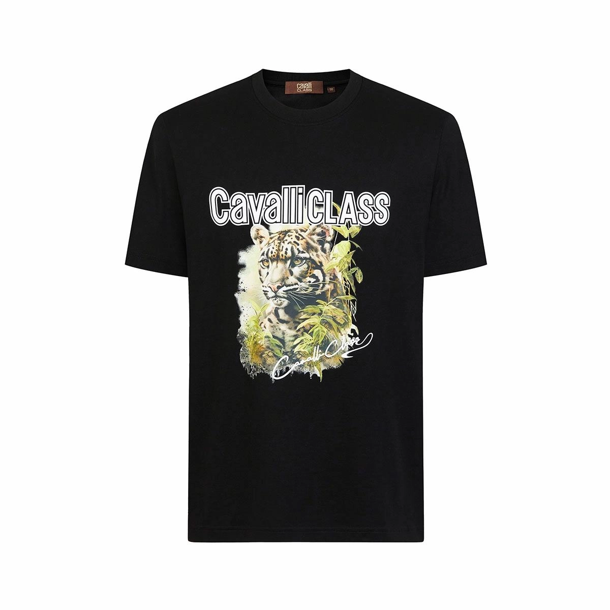 Cavalli Class T