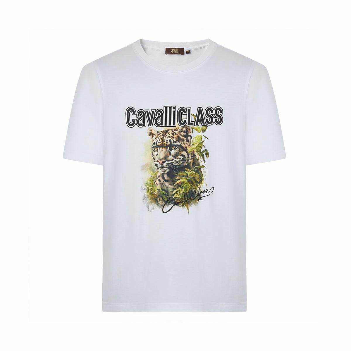 Cavalli Class T