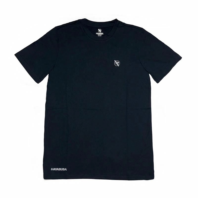 HAYABUSA T