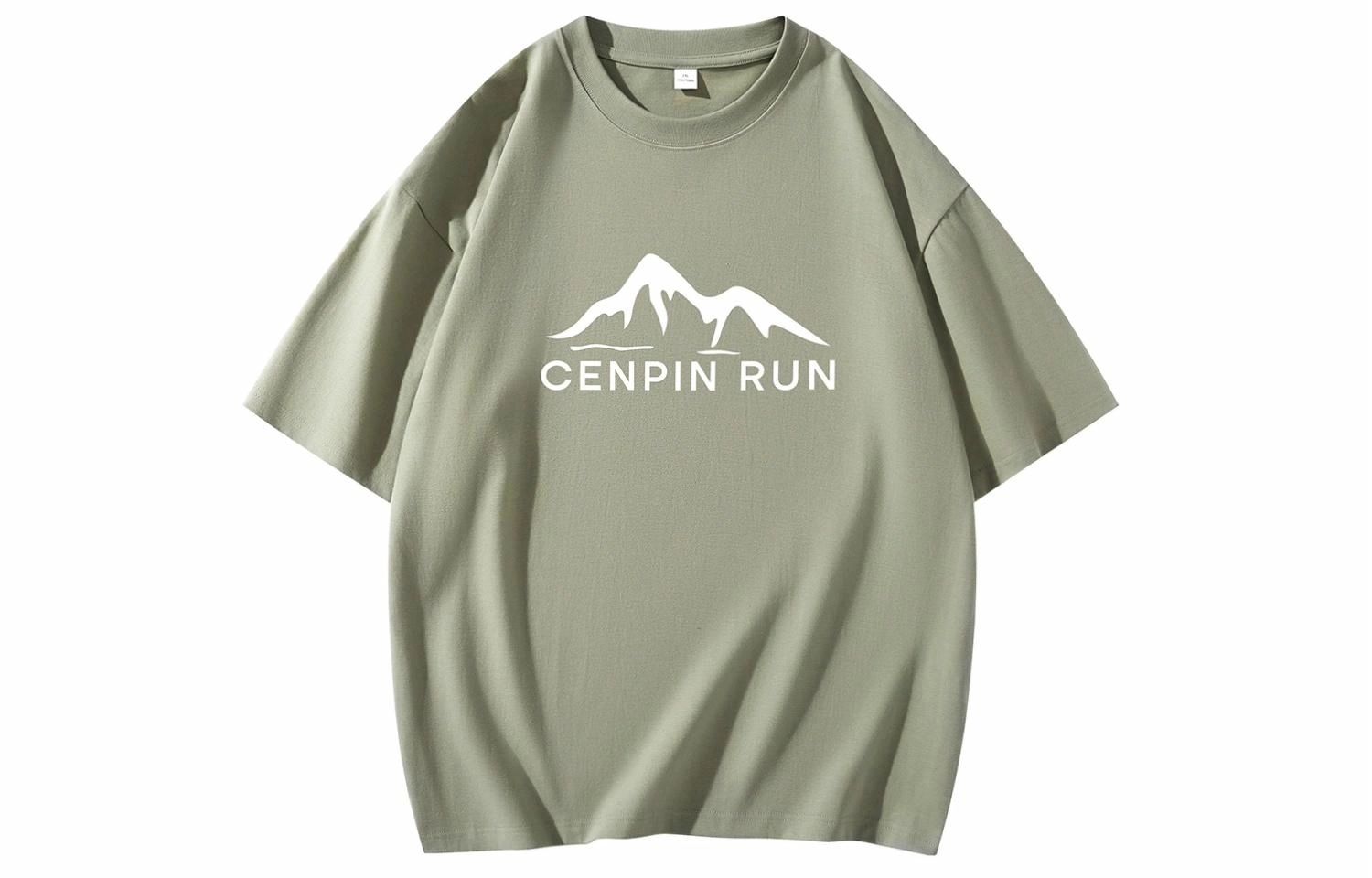 CENPIN T