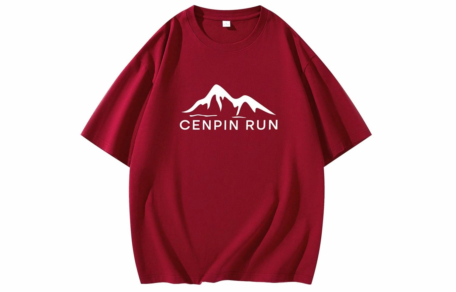 CENPIN T