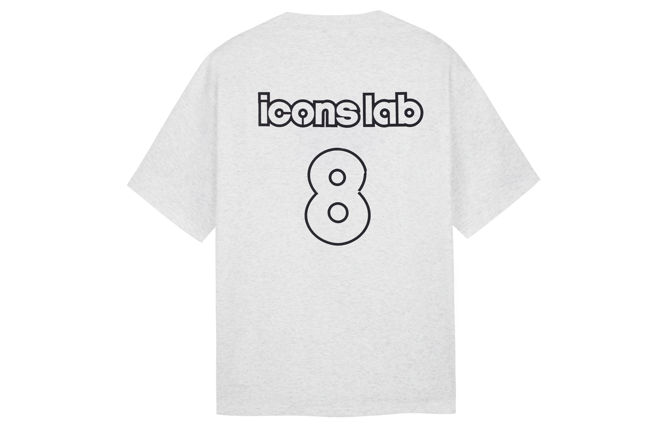 ICONS Lab 8T