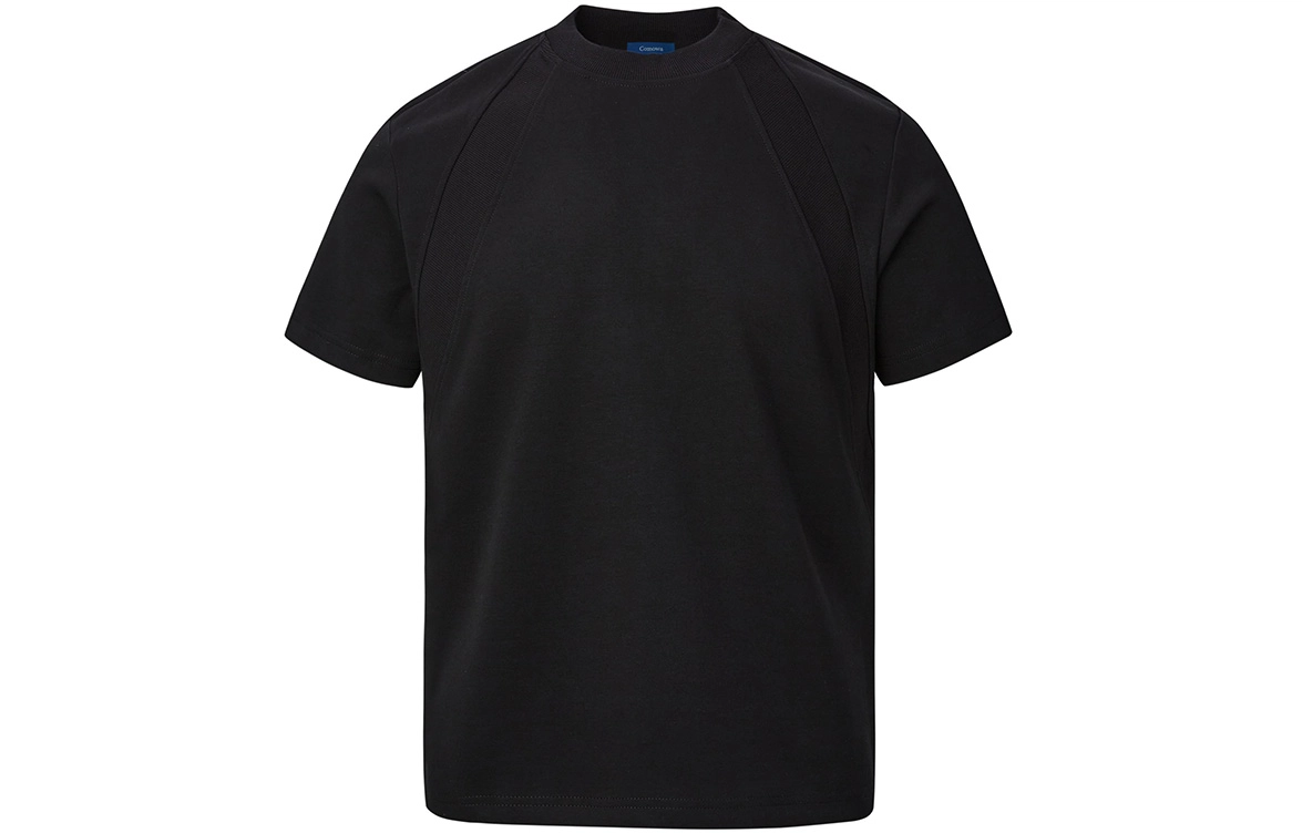 PAINT STAIN T
