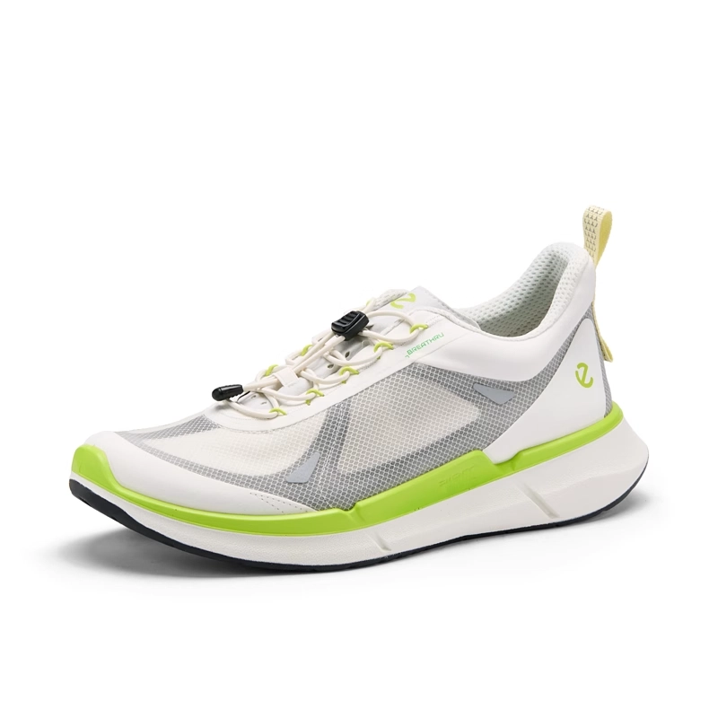 ecco Biom 2.2