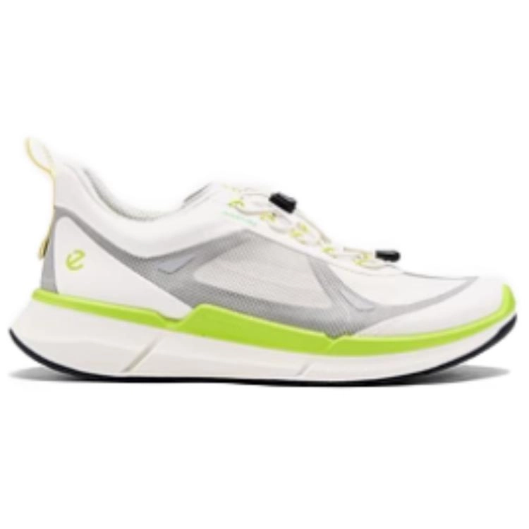 ecco Biom 2.2