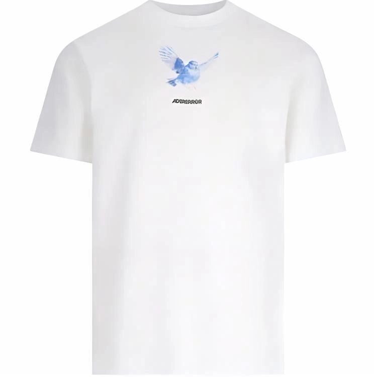 ADER ERROR T