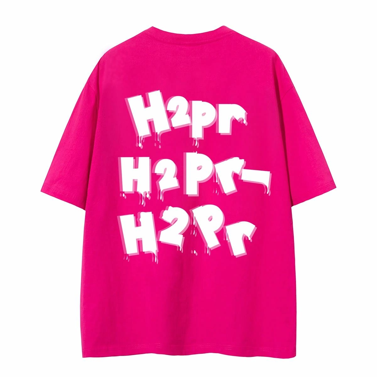 H2P LOGOT