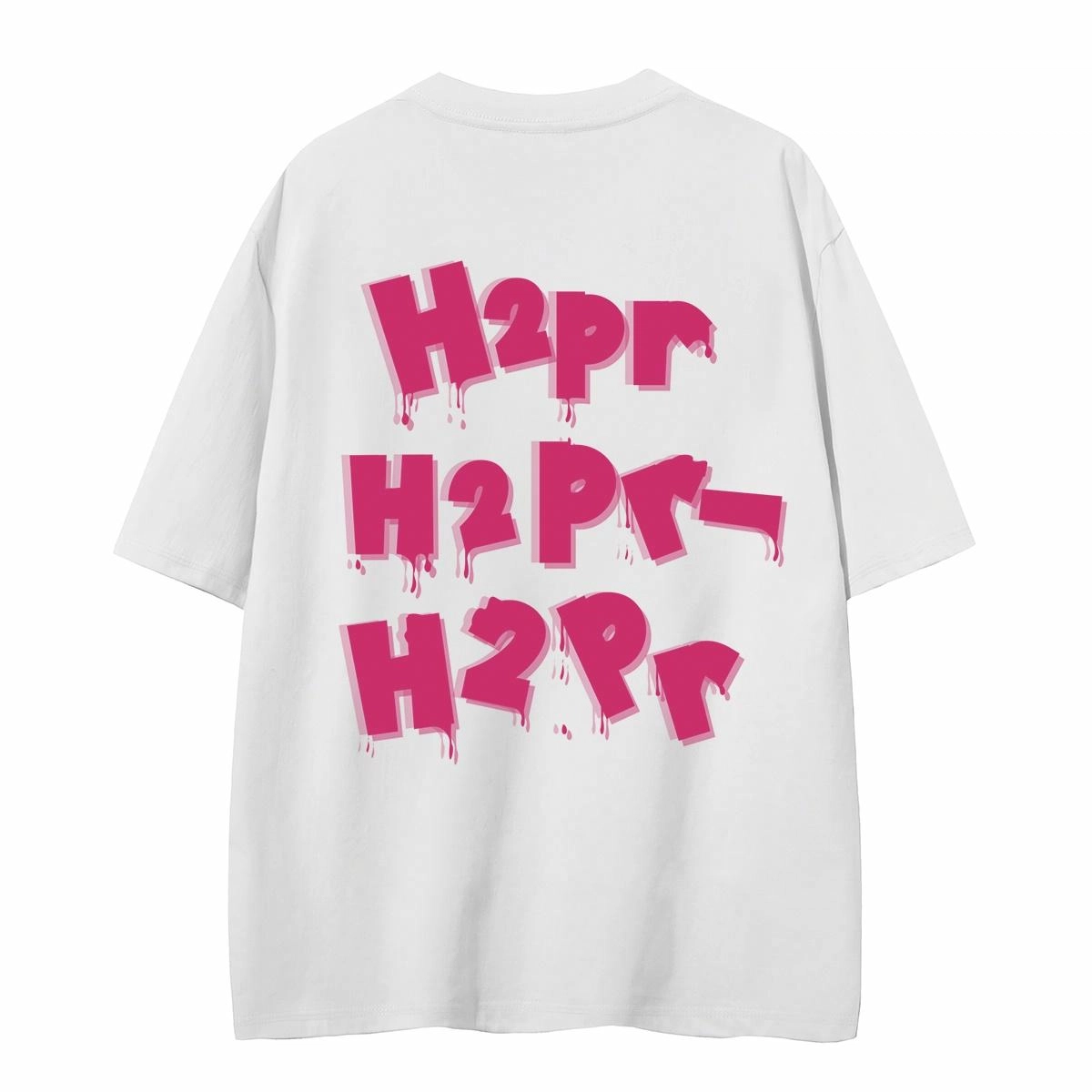 H2P LOGOT