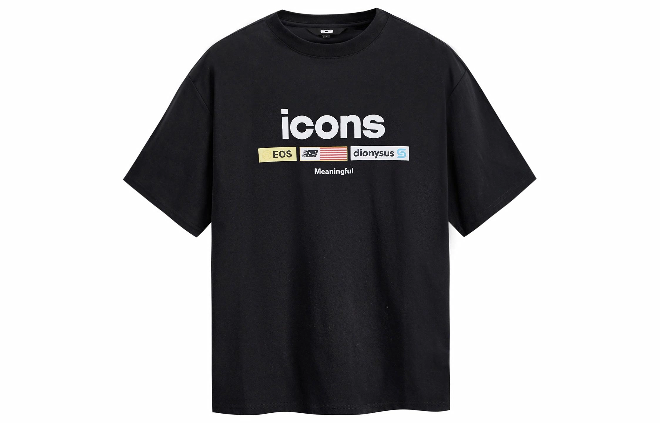 ICONS Lab LogoT
