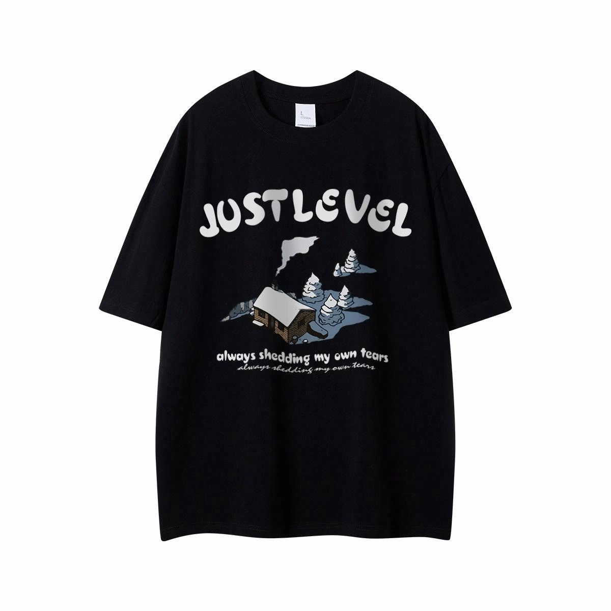 LEVEL T