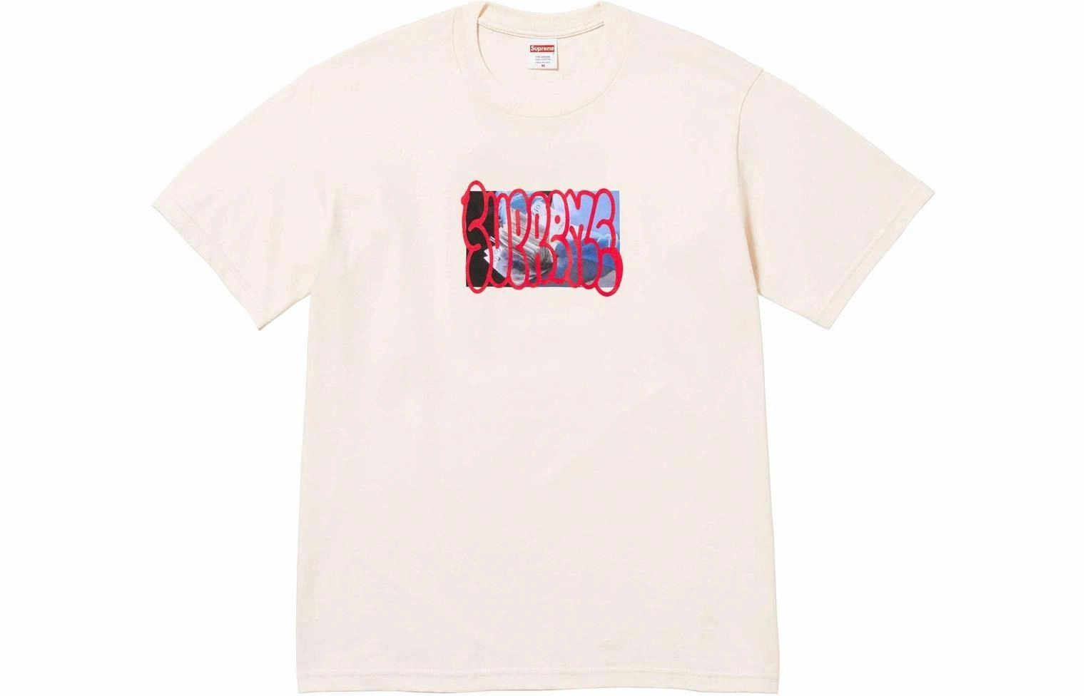 Supreme FW23 WEEK17 PAYMENT TEE T