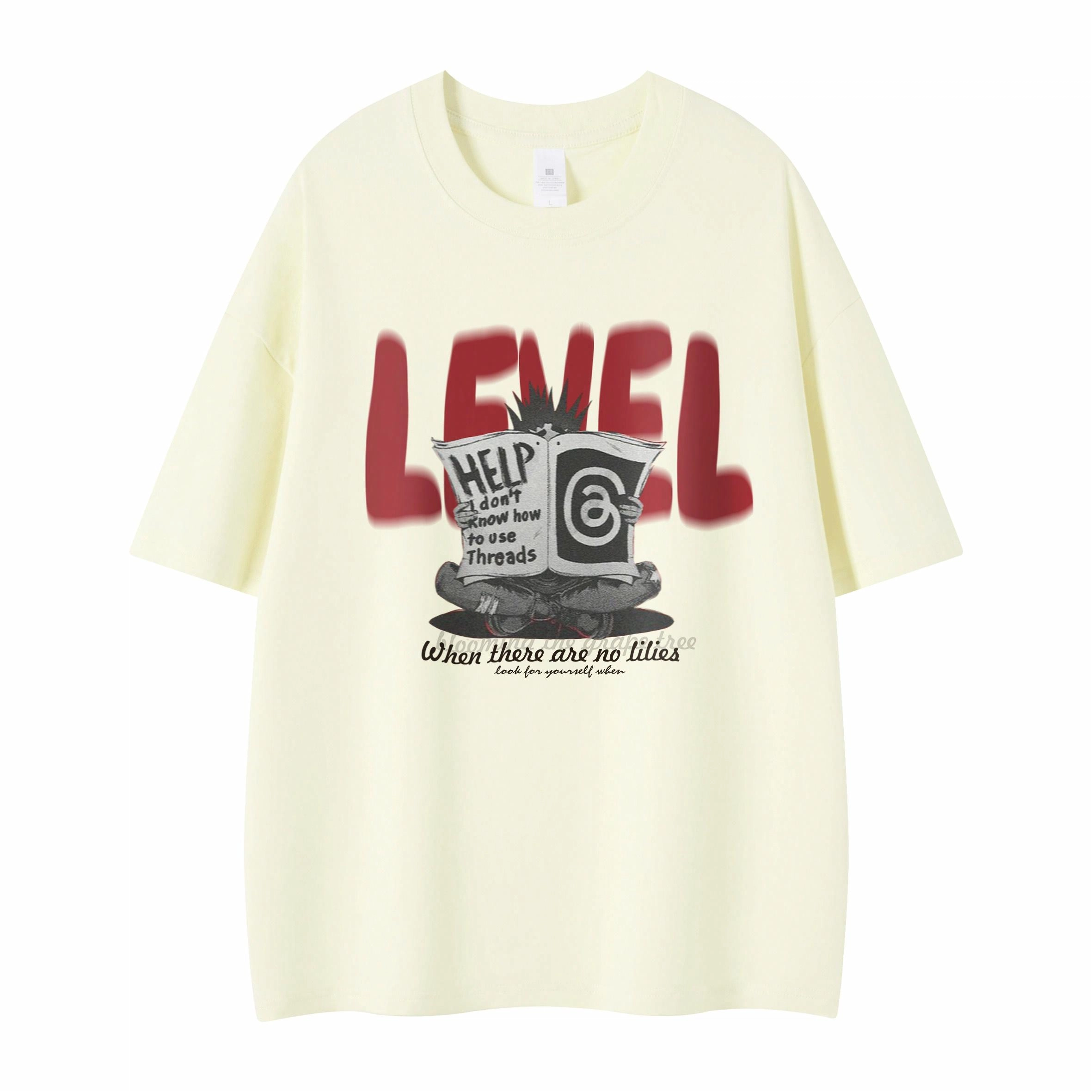 LEVEL T