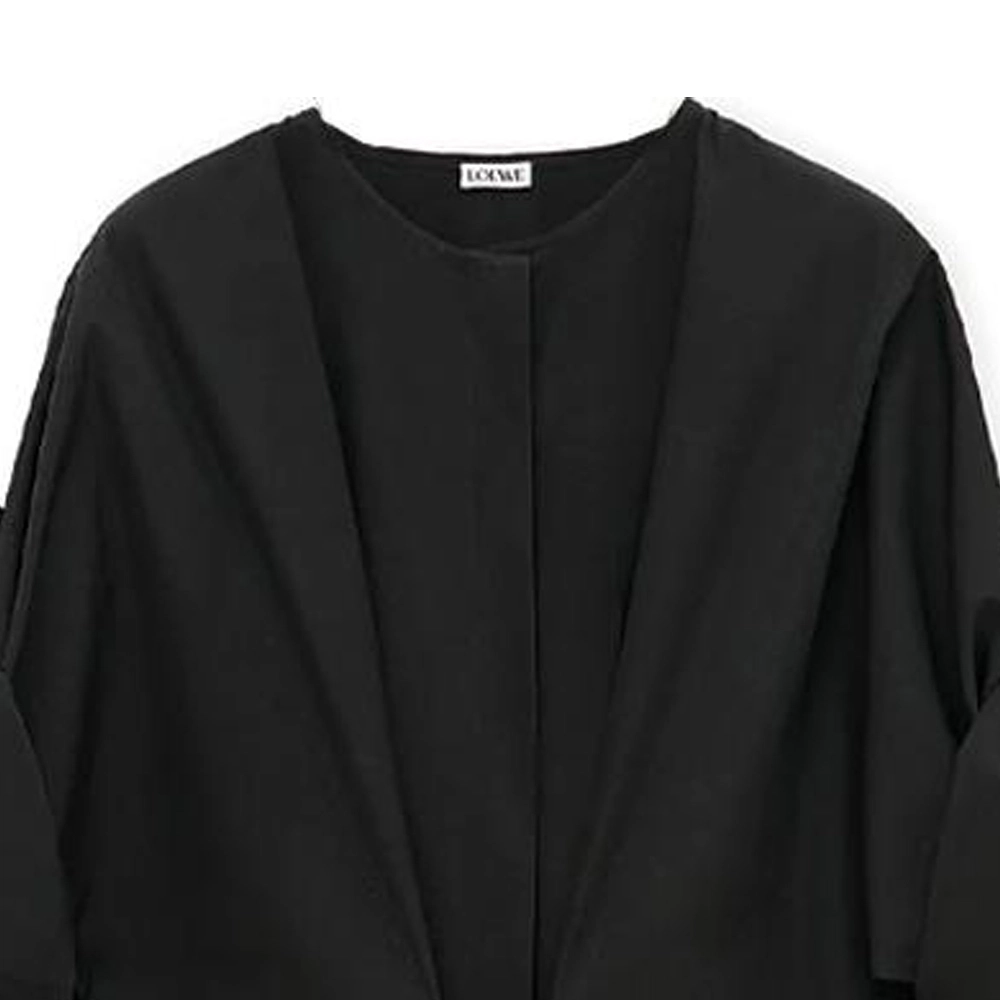 LOEWE x On FW24
