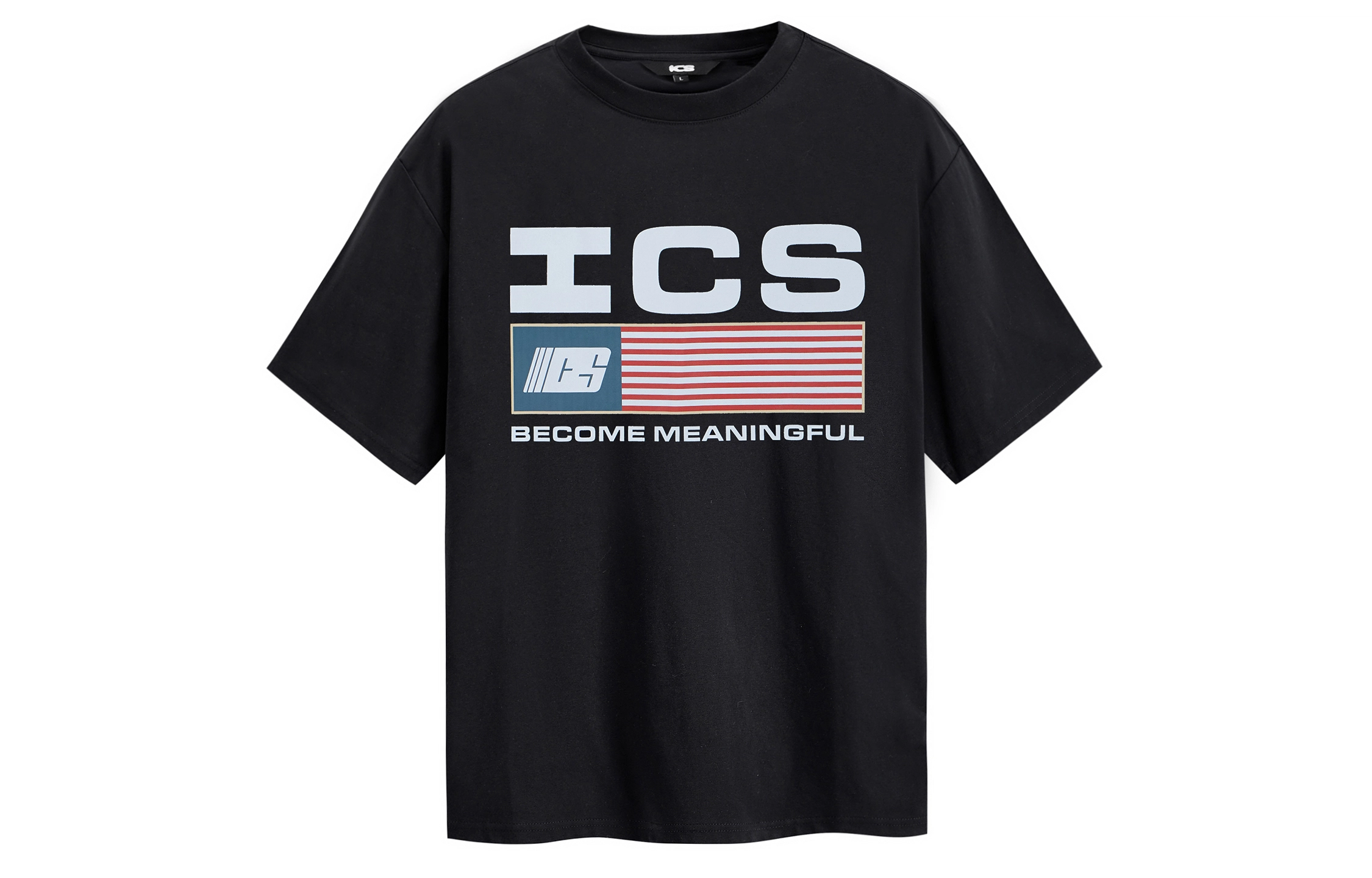 ICONS Lab logo T