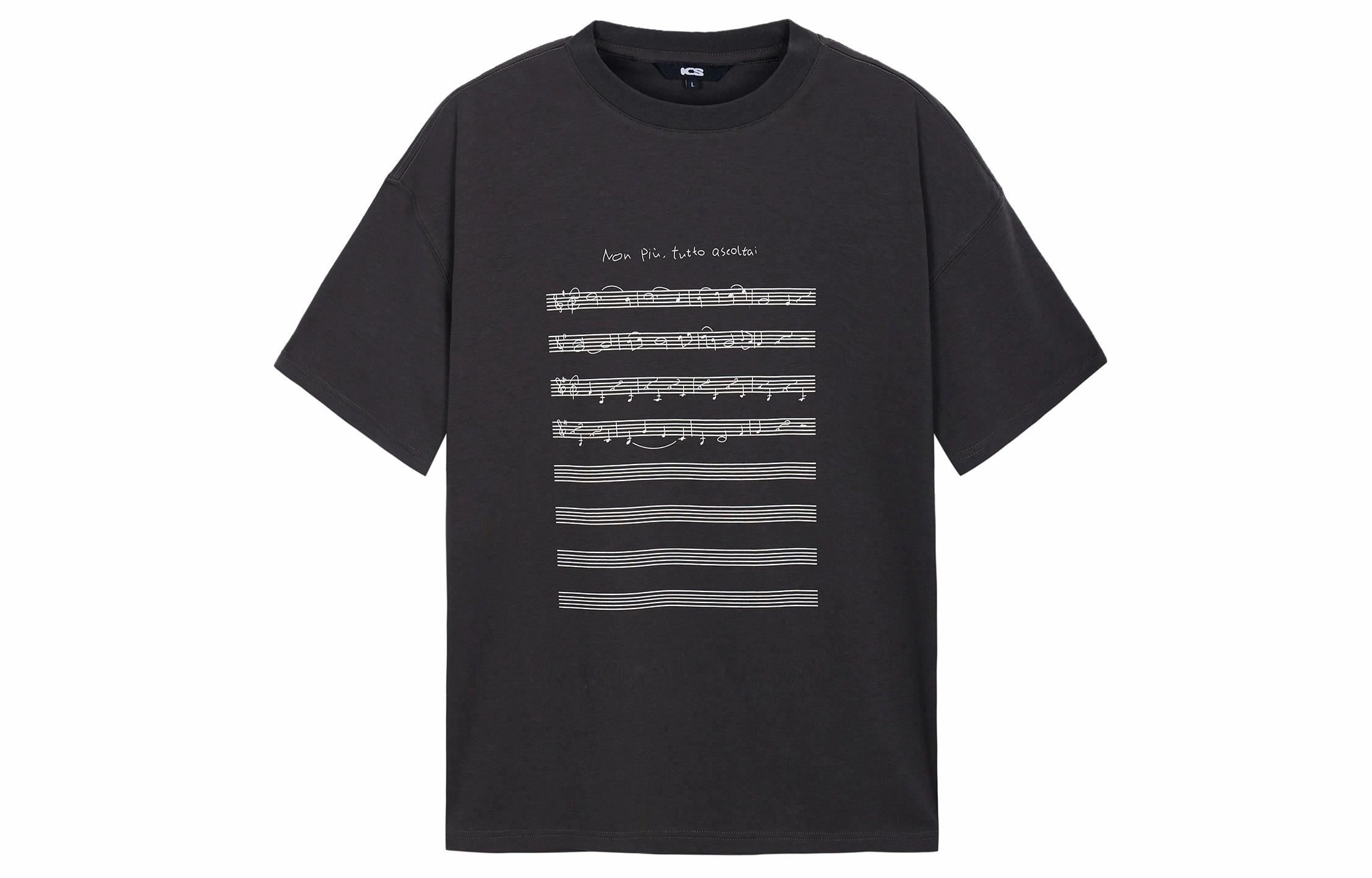 ICONS Lab T