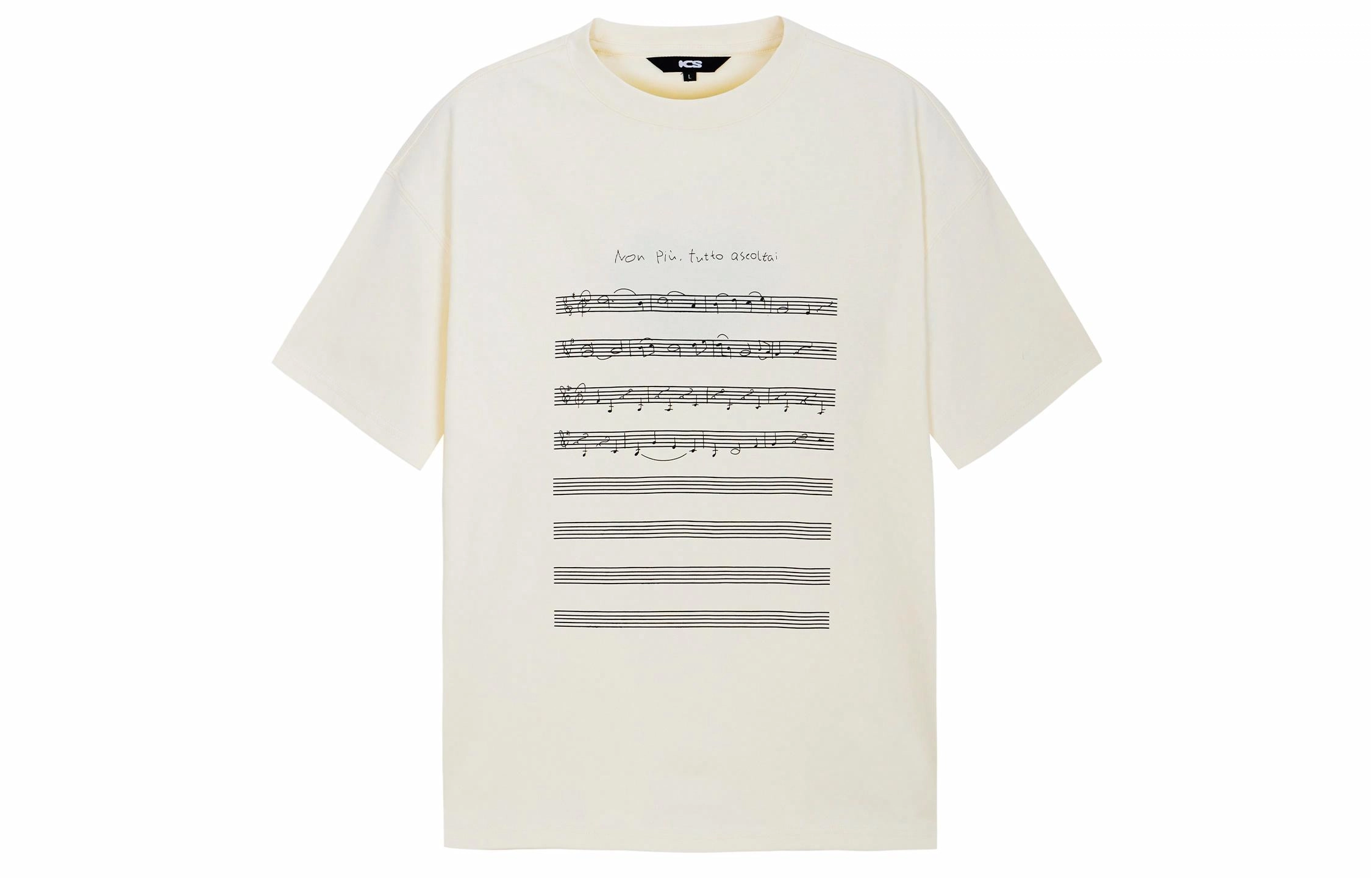 ICONS Lab T
