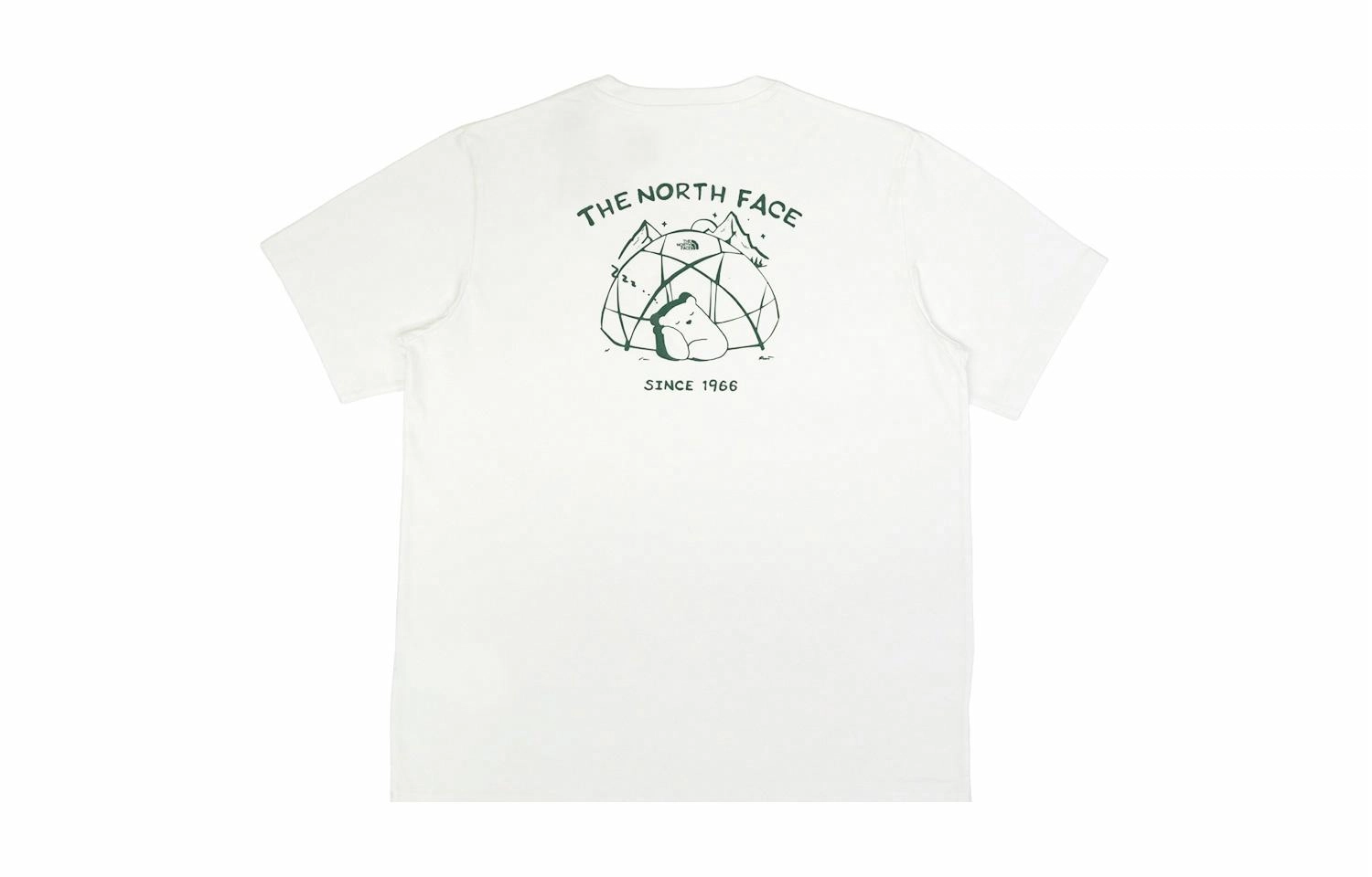 THE NORTH FACE T