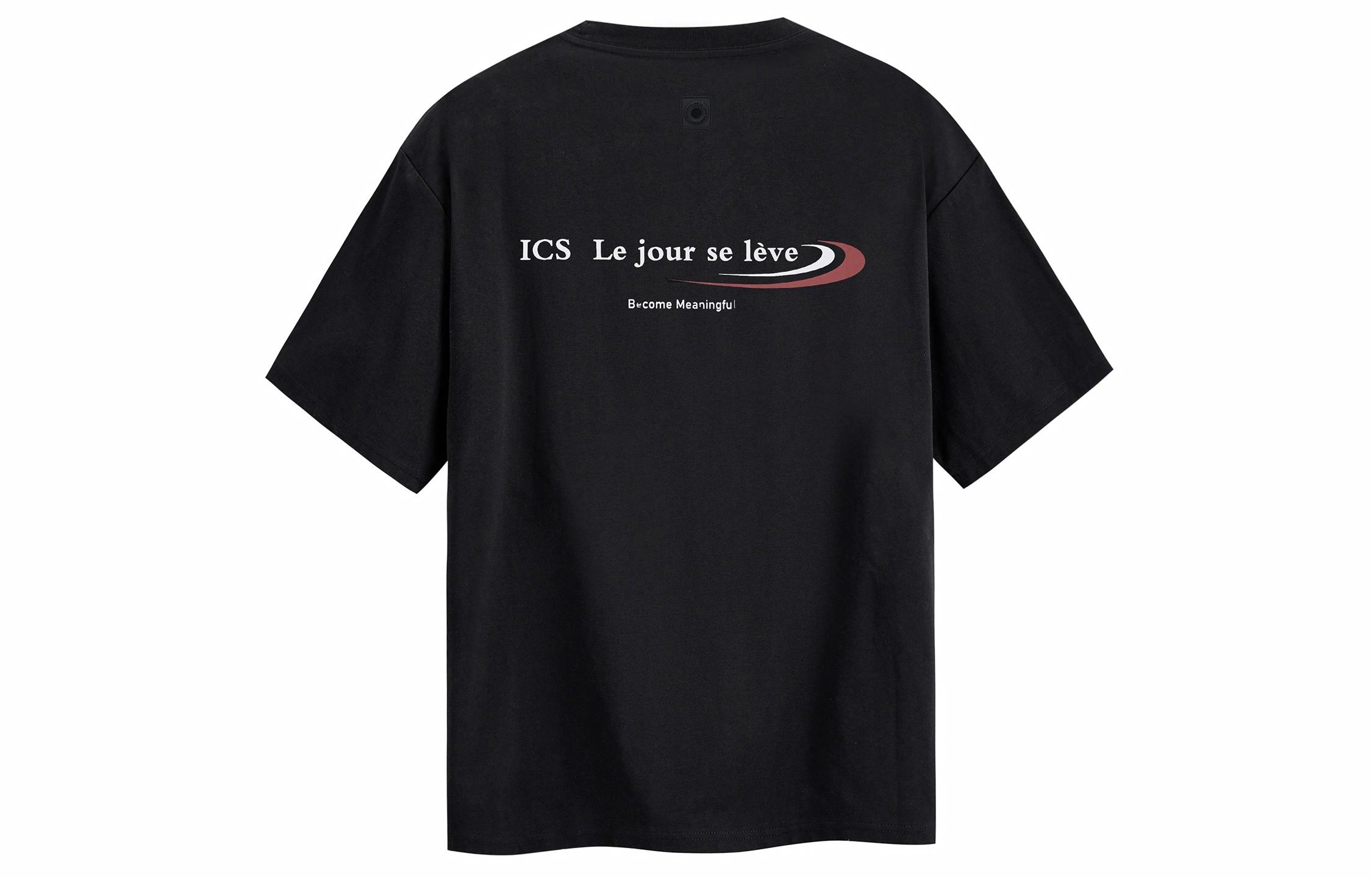 ICONS Lab T