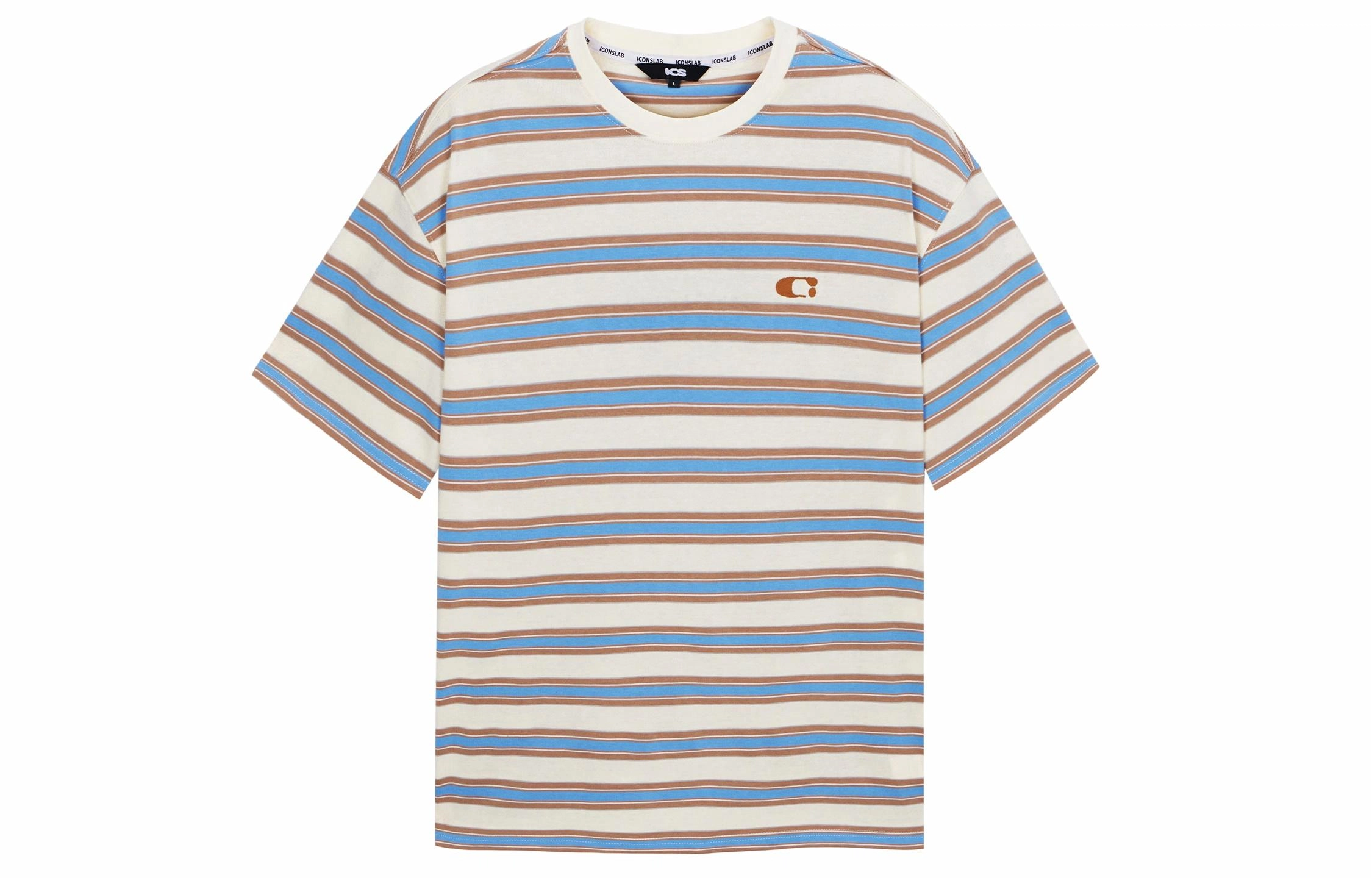 ICONS Lab T