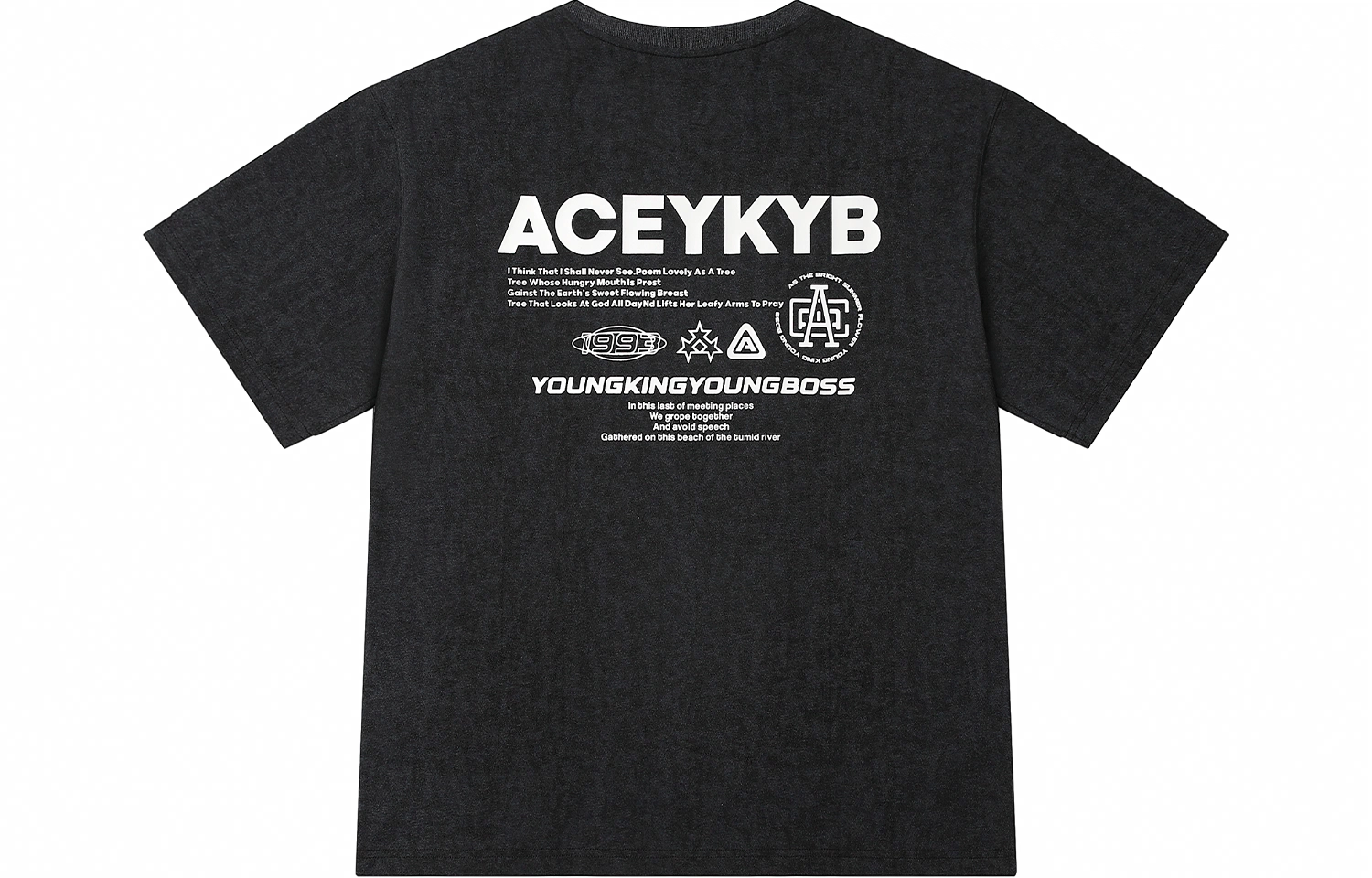 YKYB SS24 T