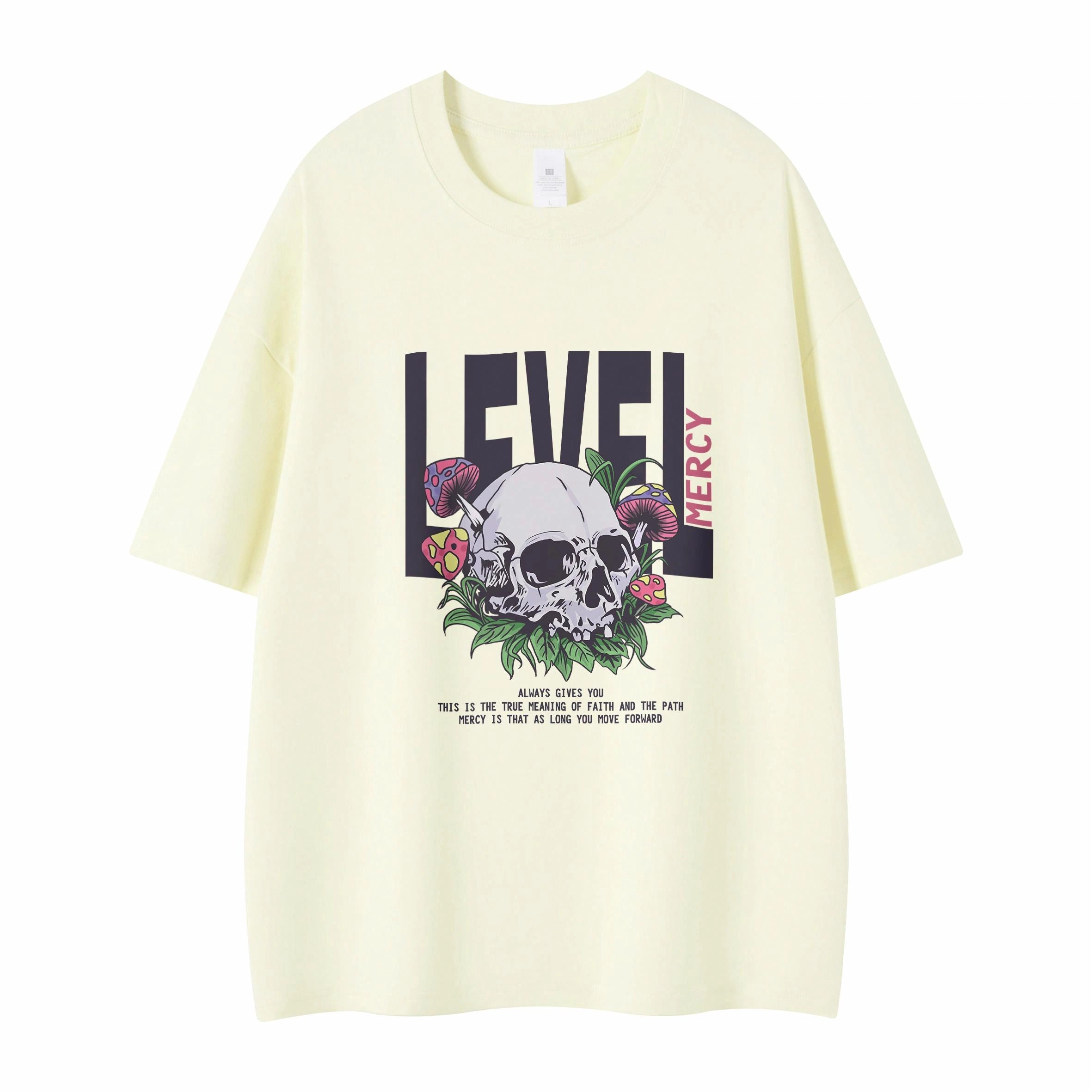 LEVEL T