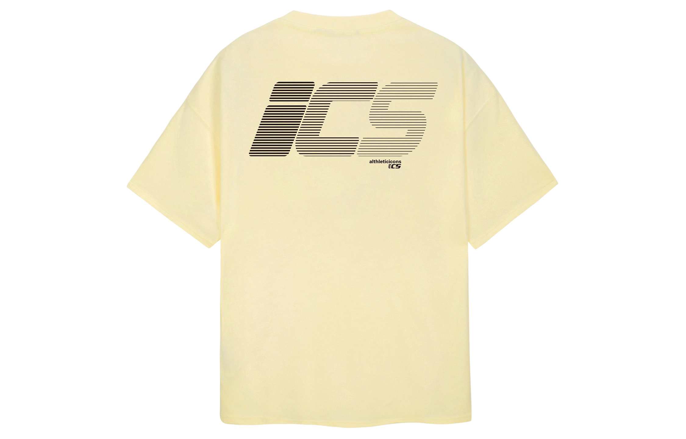 ICONS Lab T