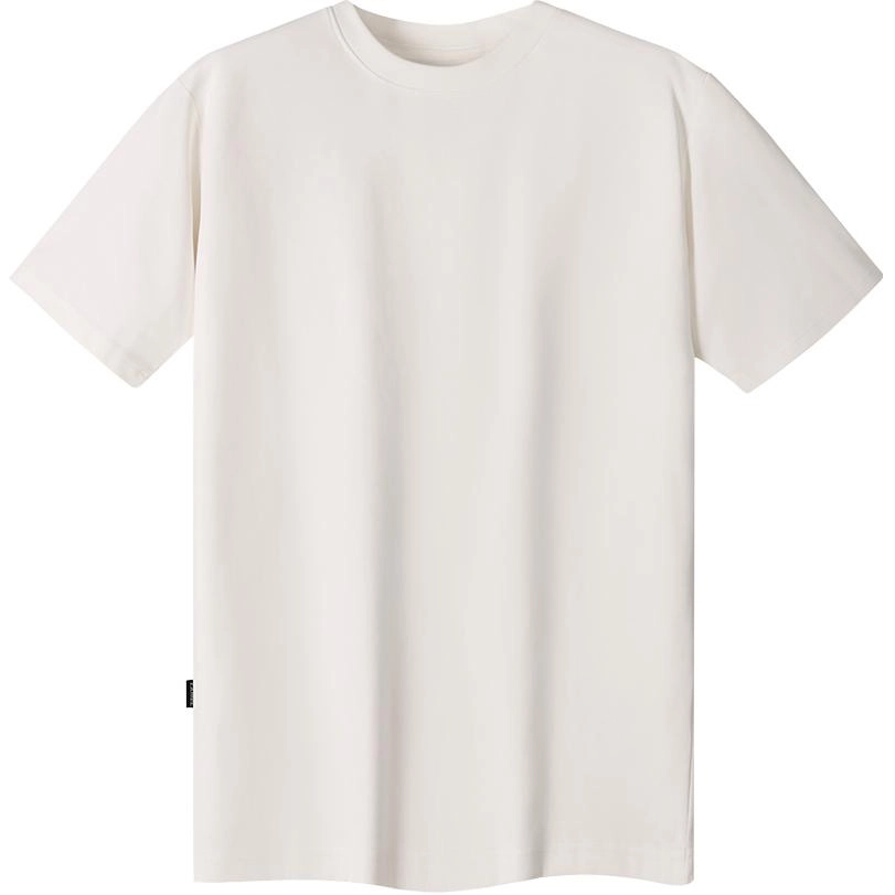 CAMEL T