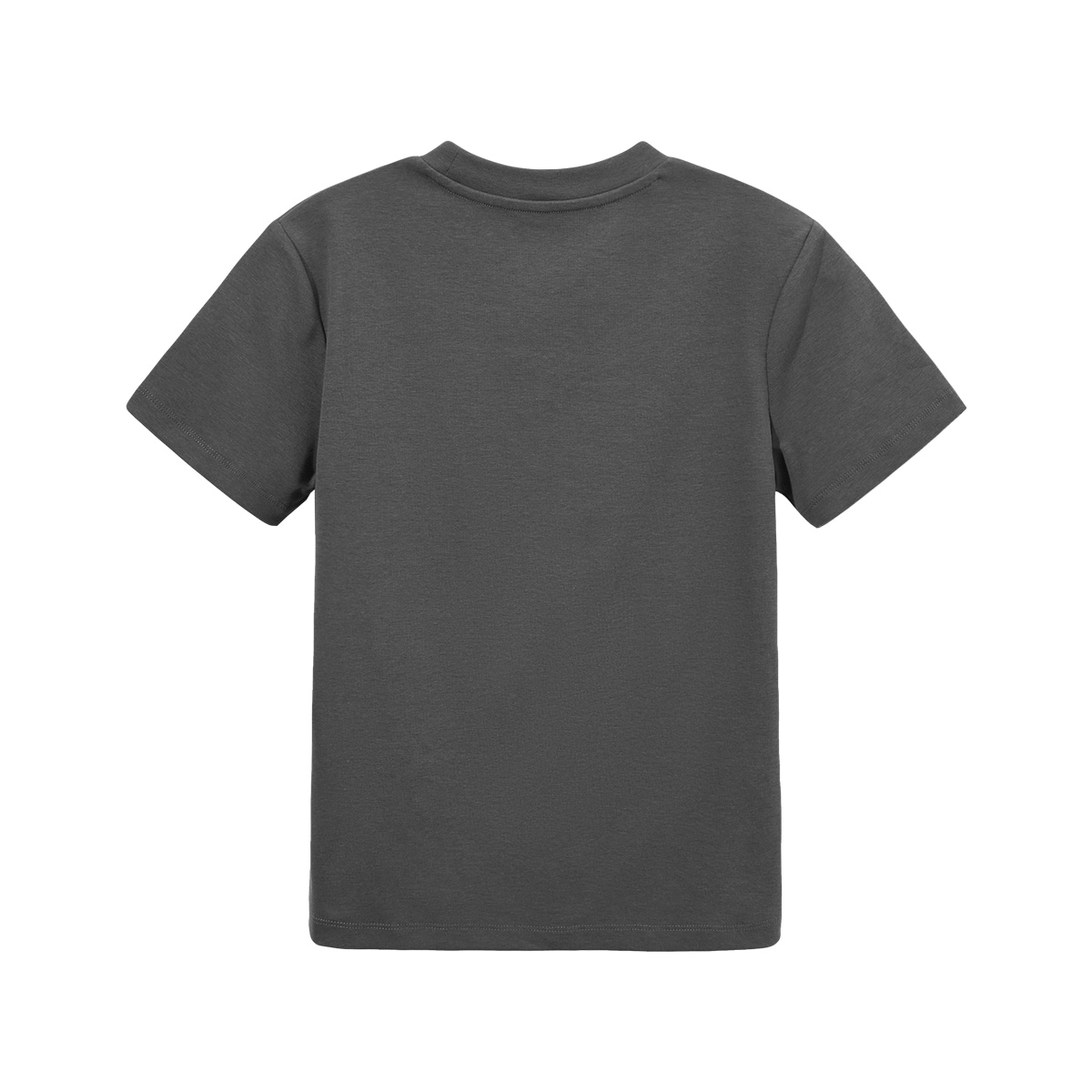 Hotwind T