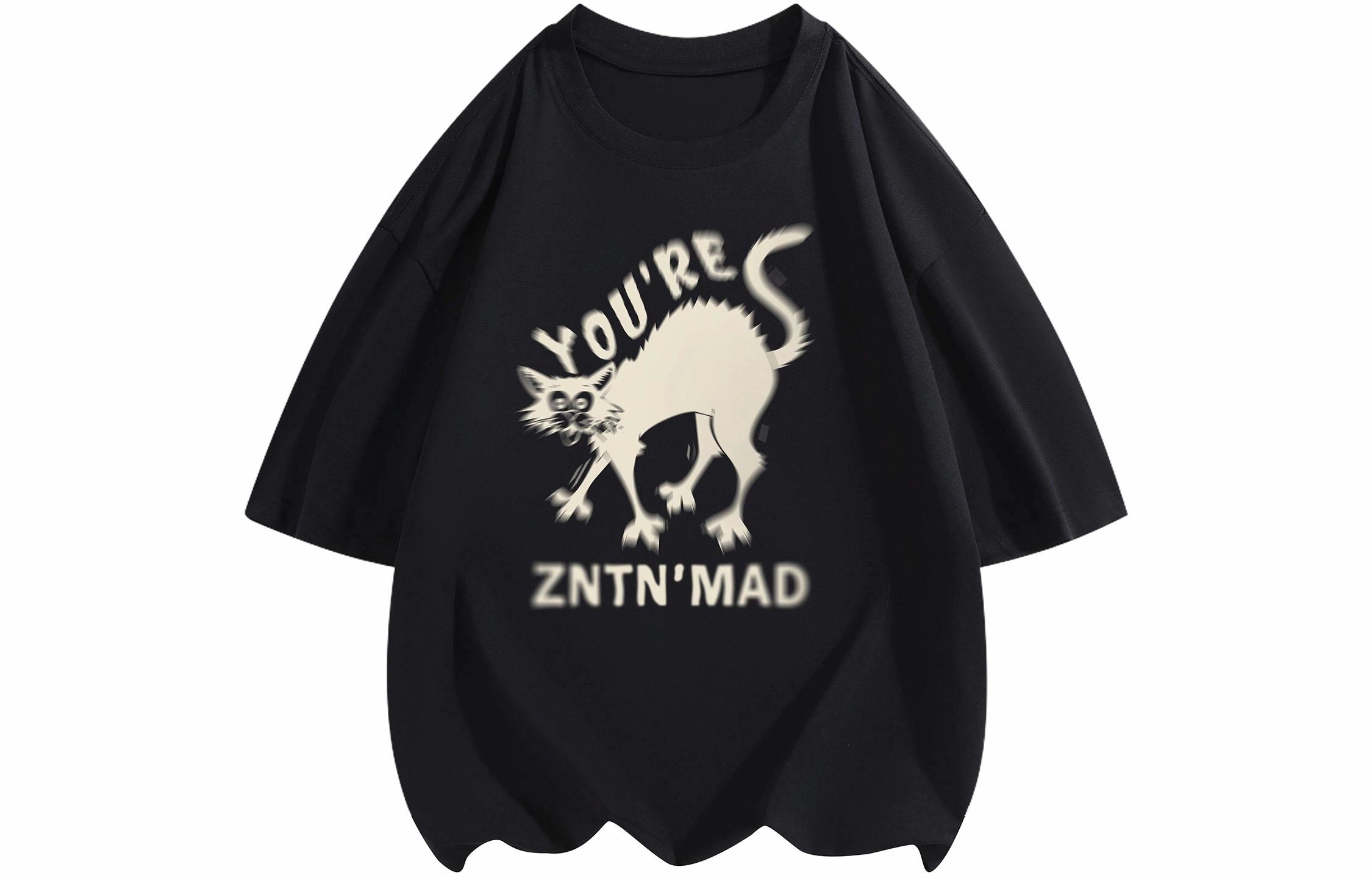 ZNTN LogoT