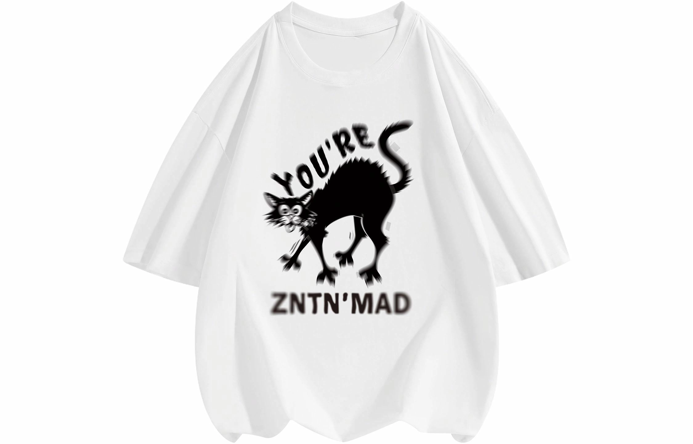 ZNTN LogoT