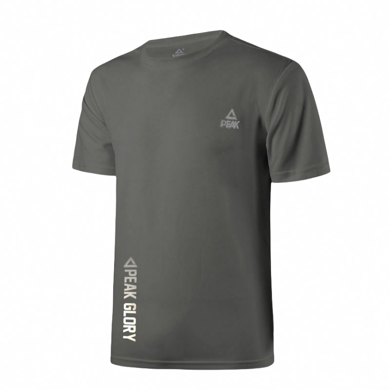LOGO T