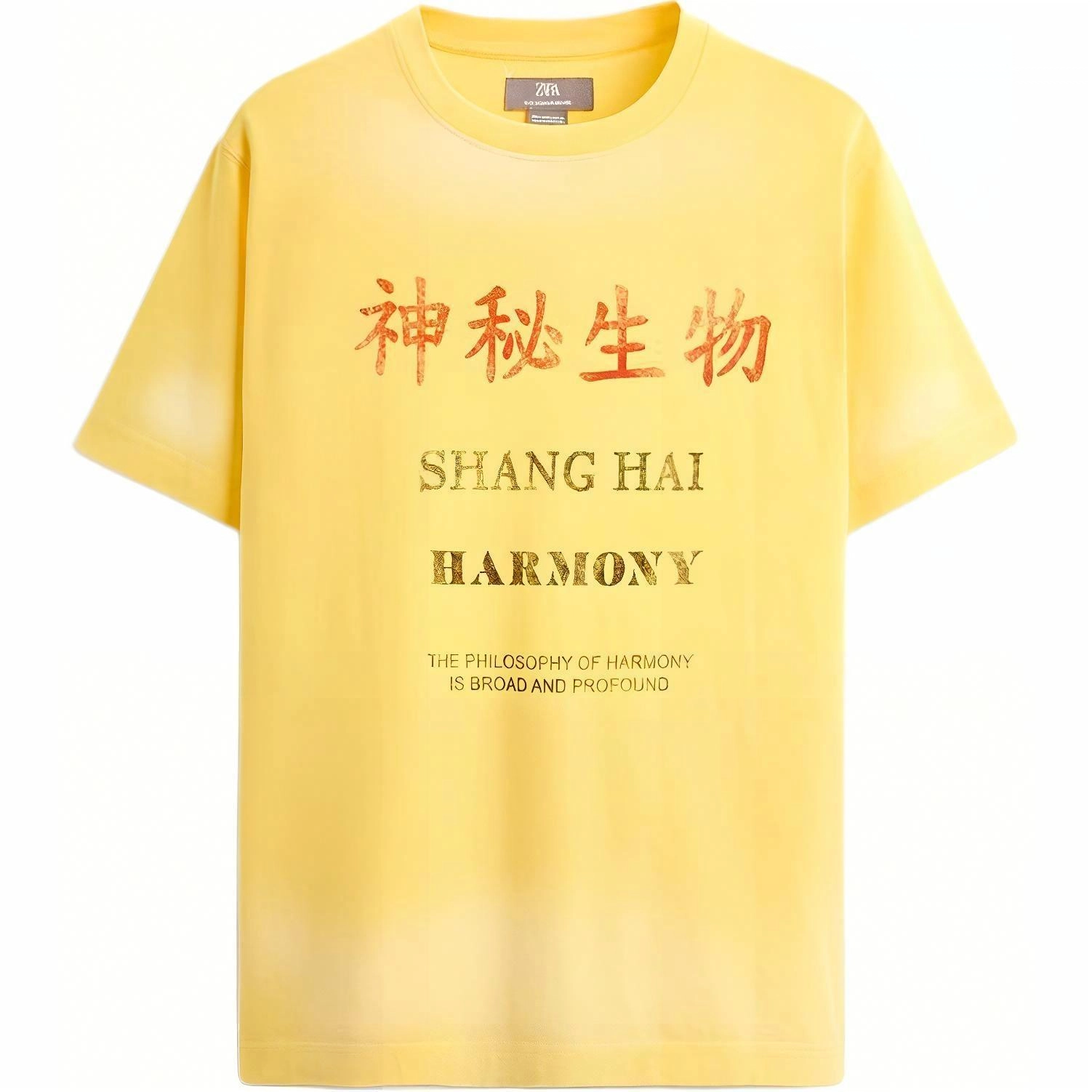 ZARA T