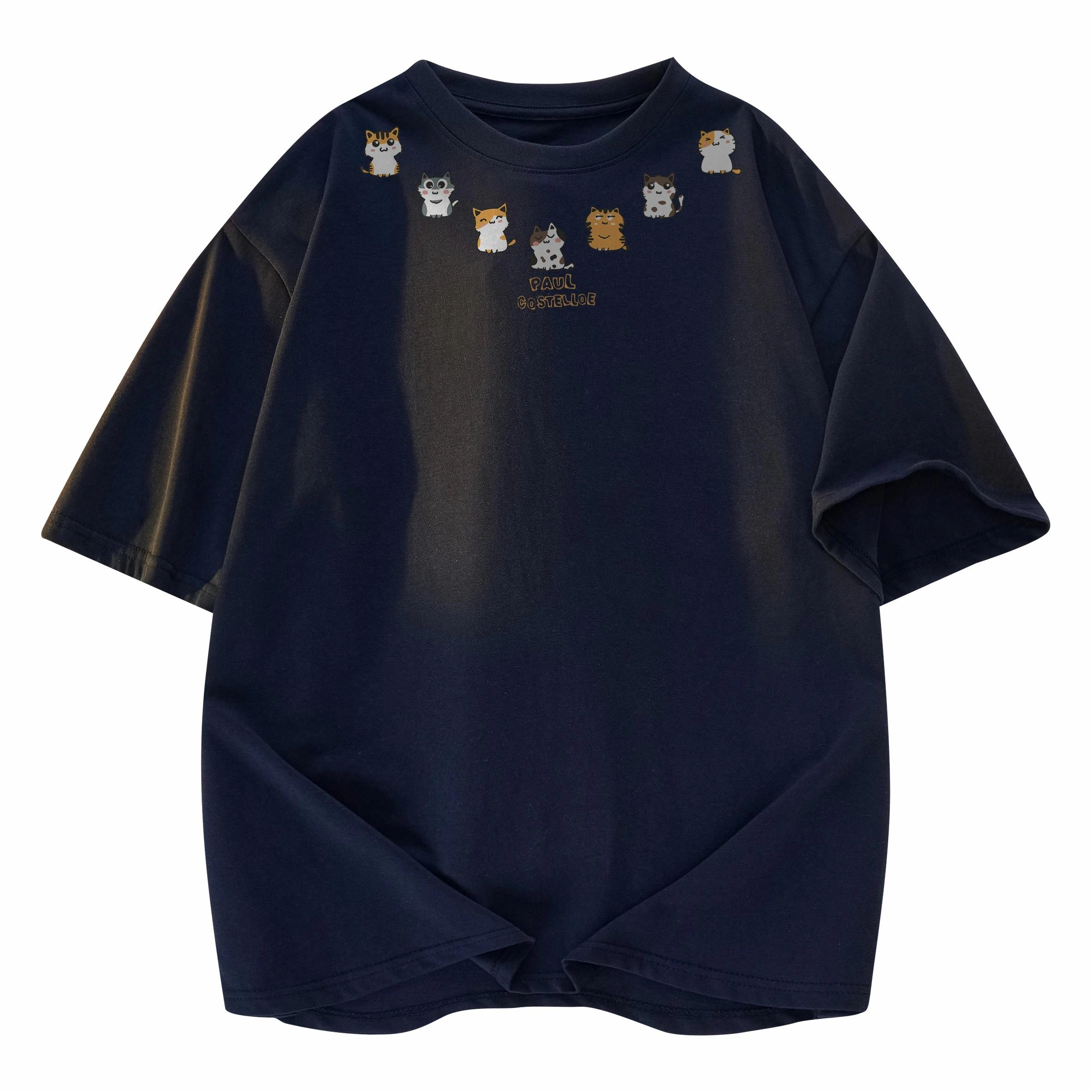 PAUL COSTELLOE T