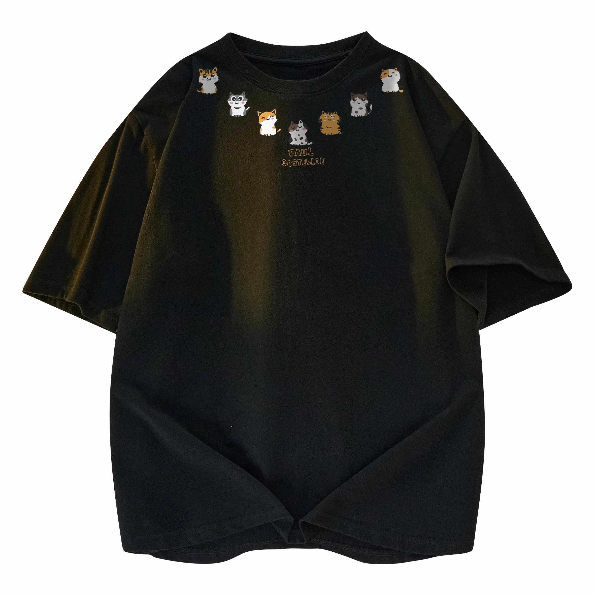 PAUL COSTELLOE T