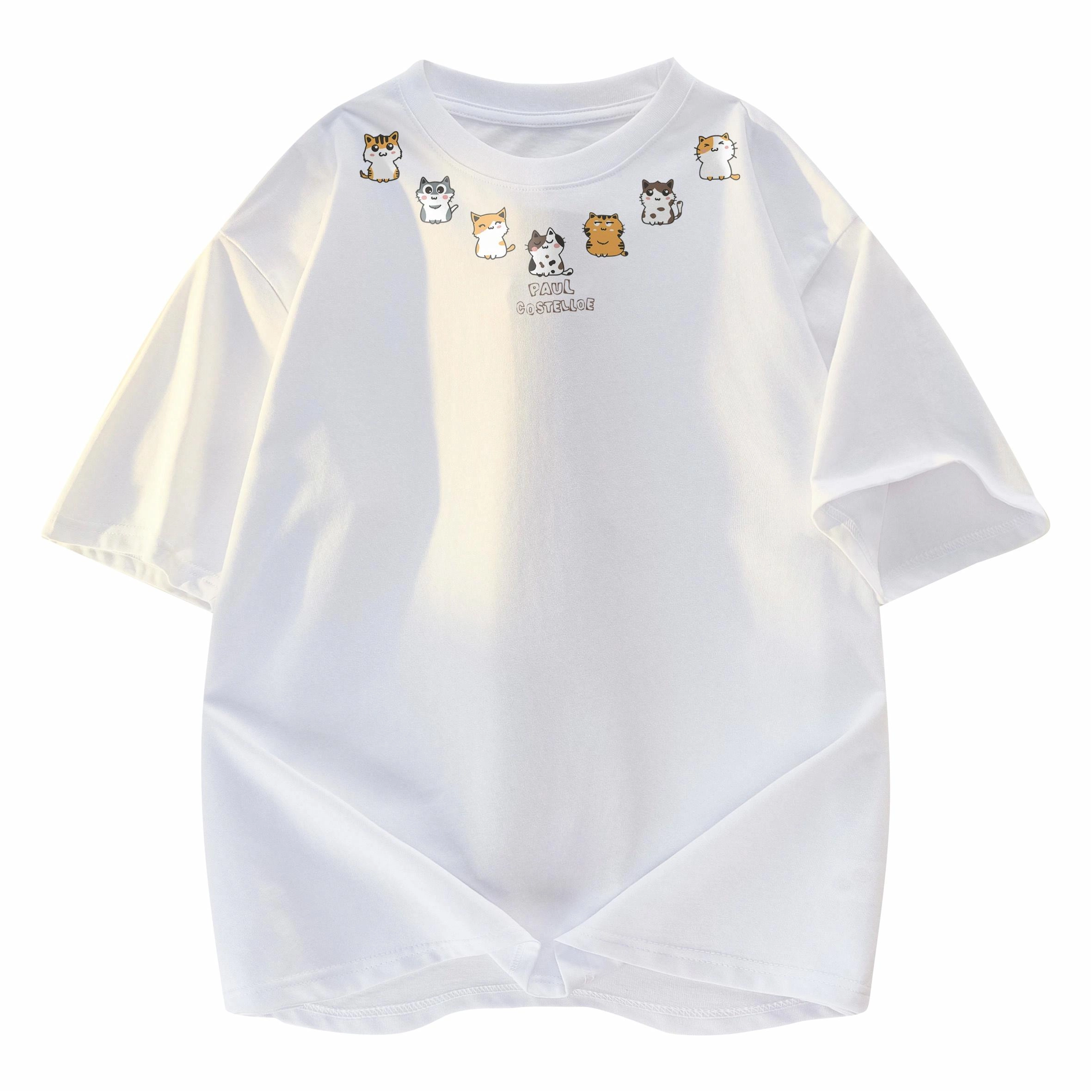 PAUL COSTELLOE T