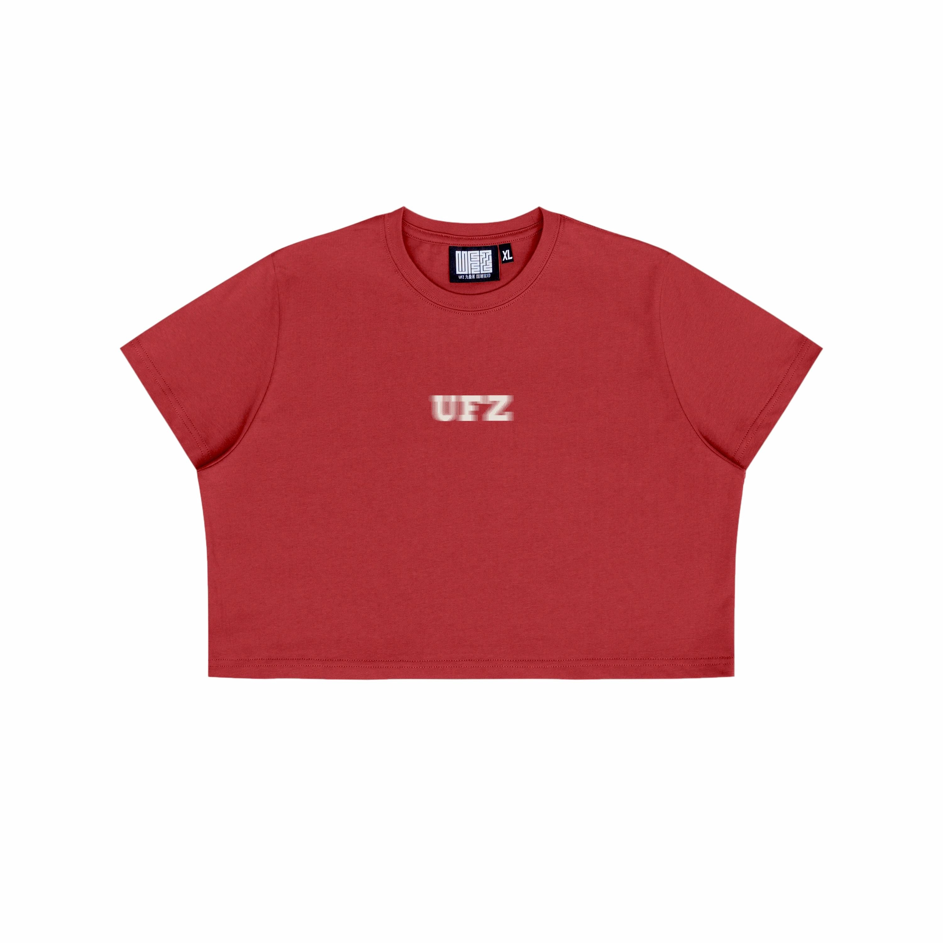 UFZ T