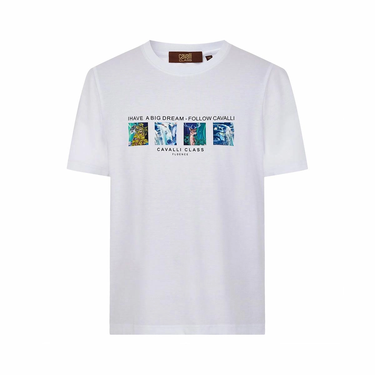 Cavalli Class T