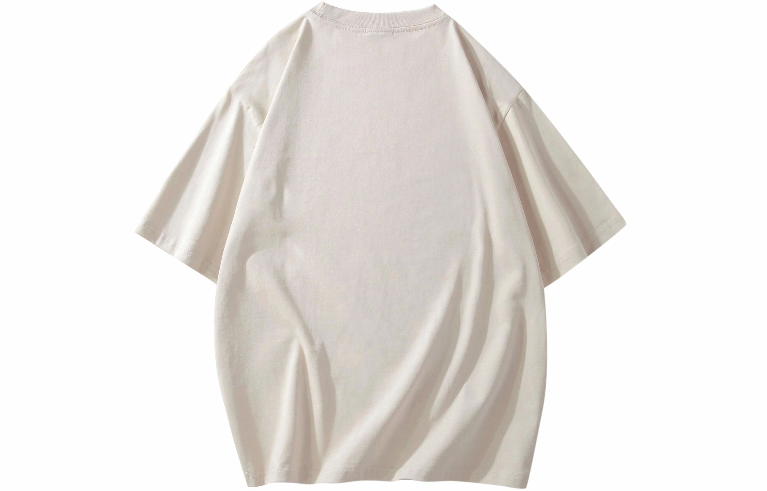 REXSHION T