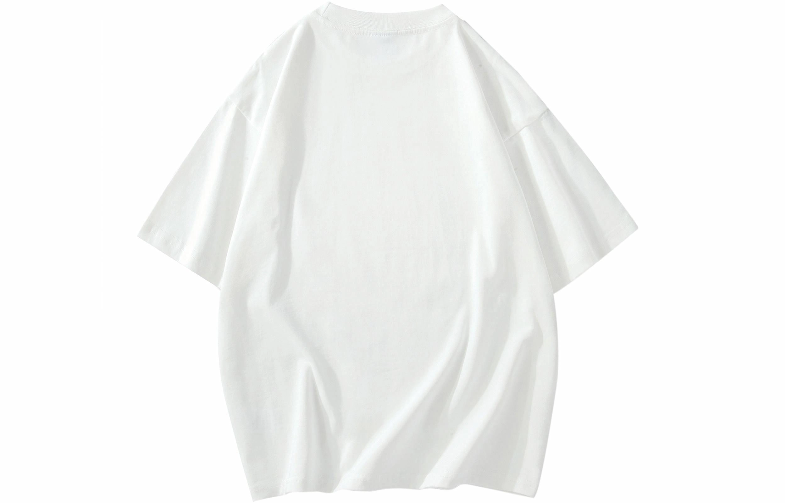 REXSHION T