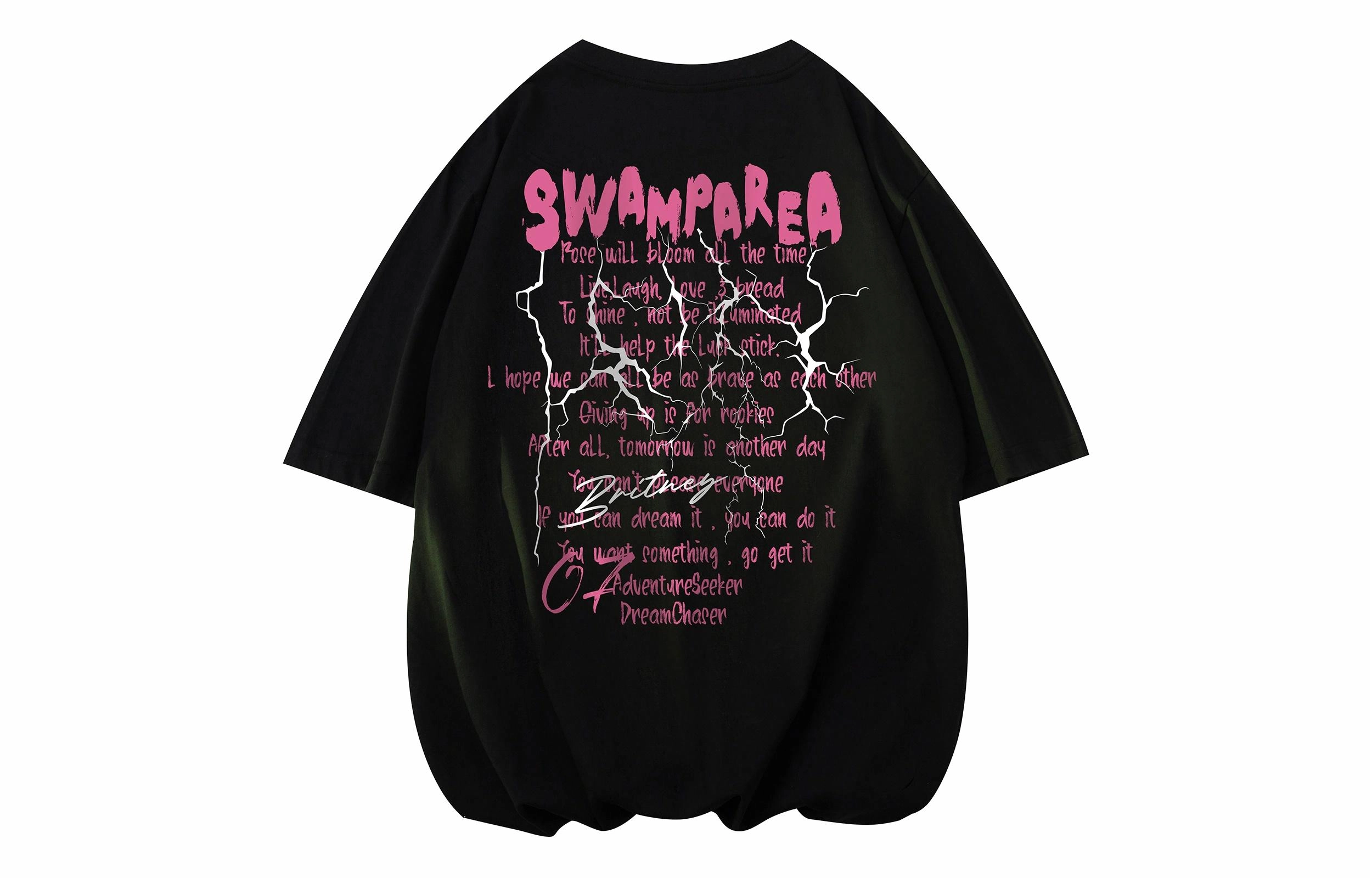 SWAMP AREA T